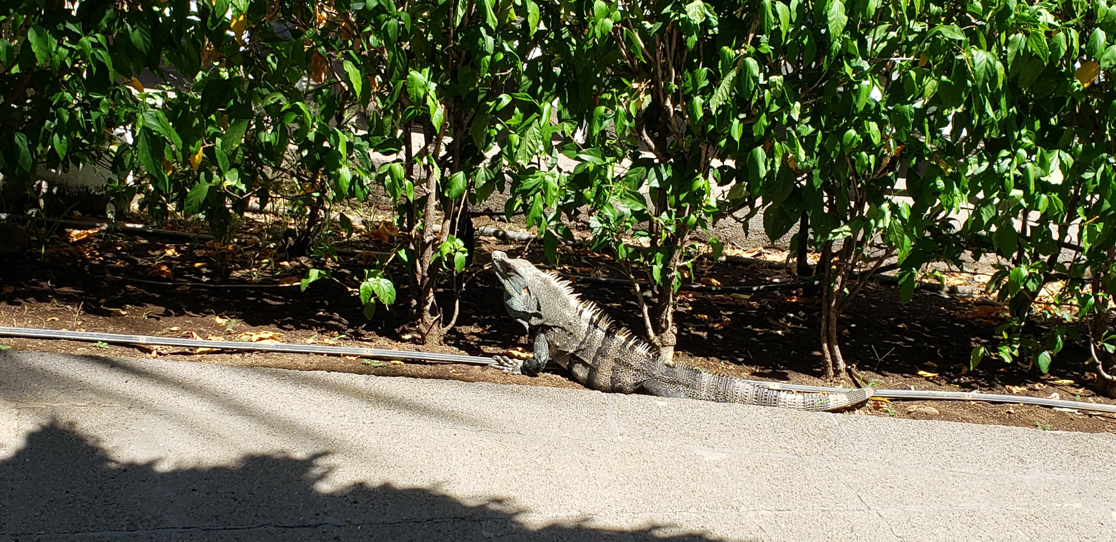 Travel photo 6