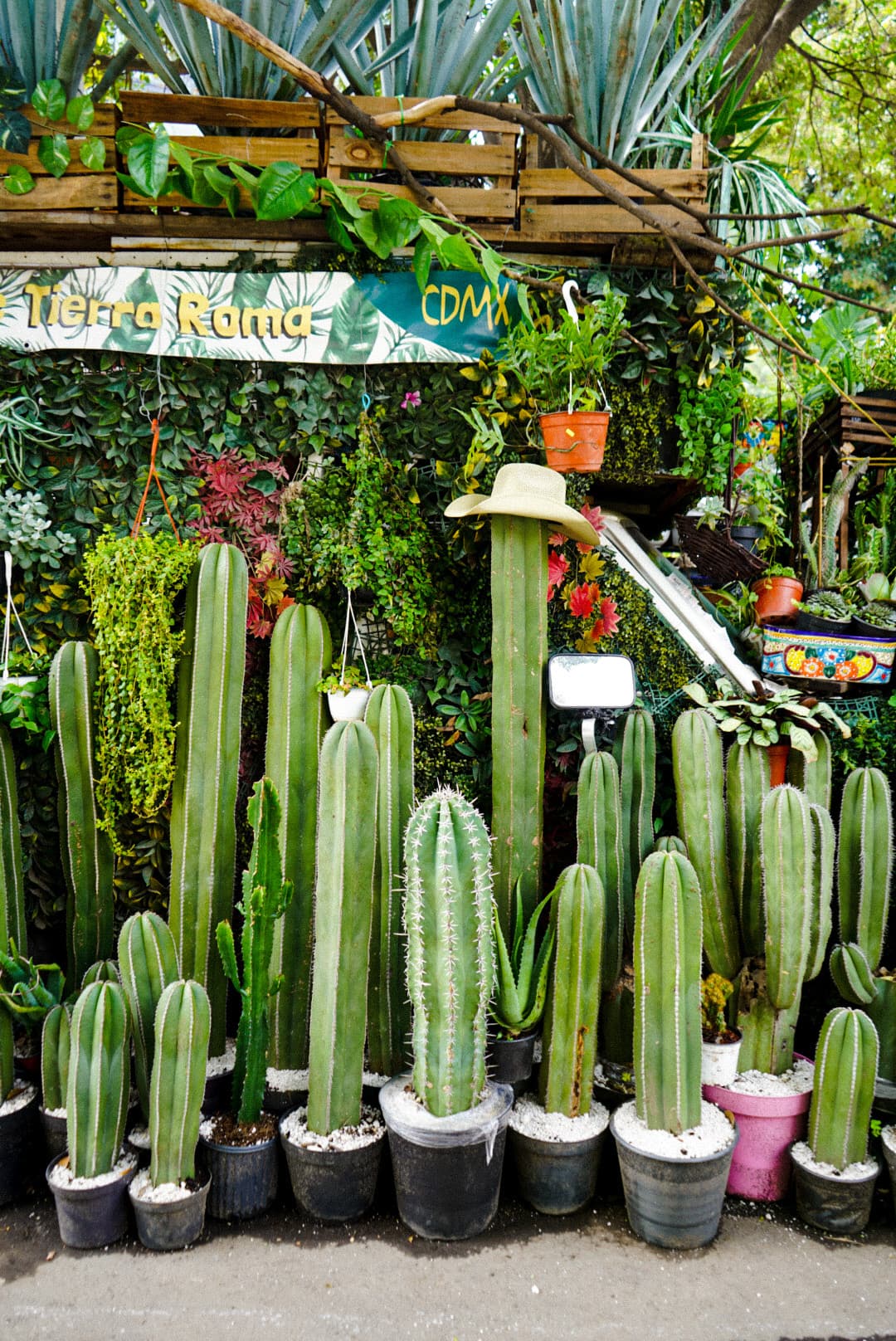 Travel photo 6