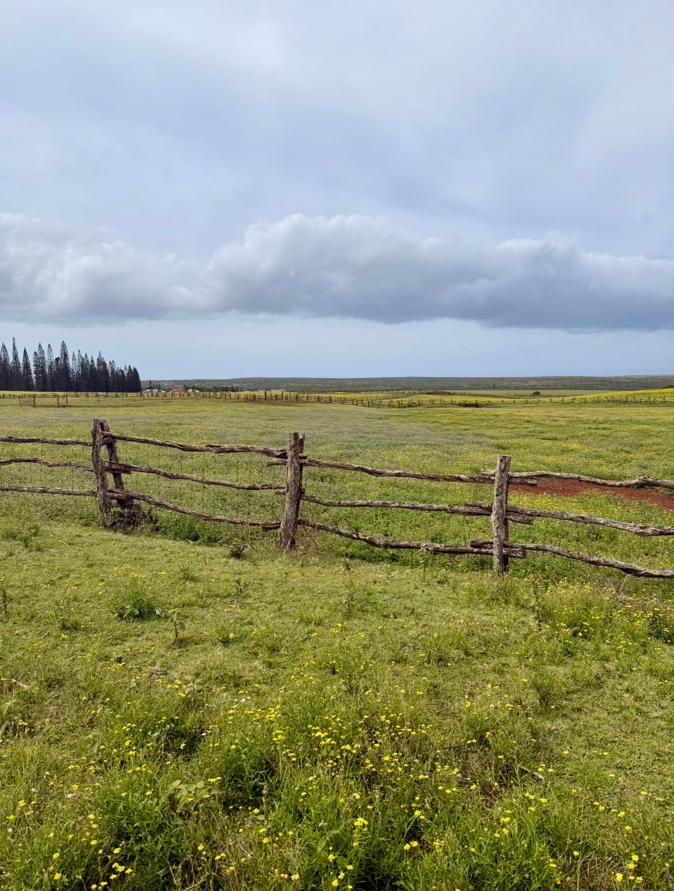Travel photo 6