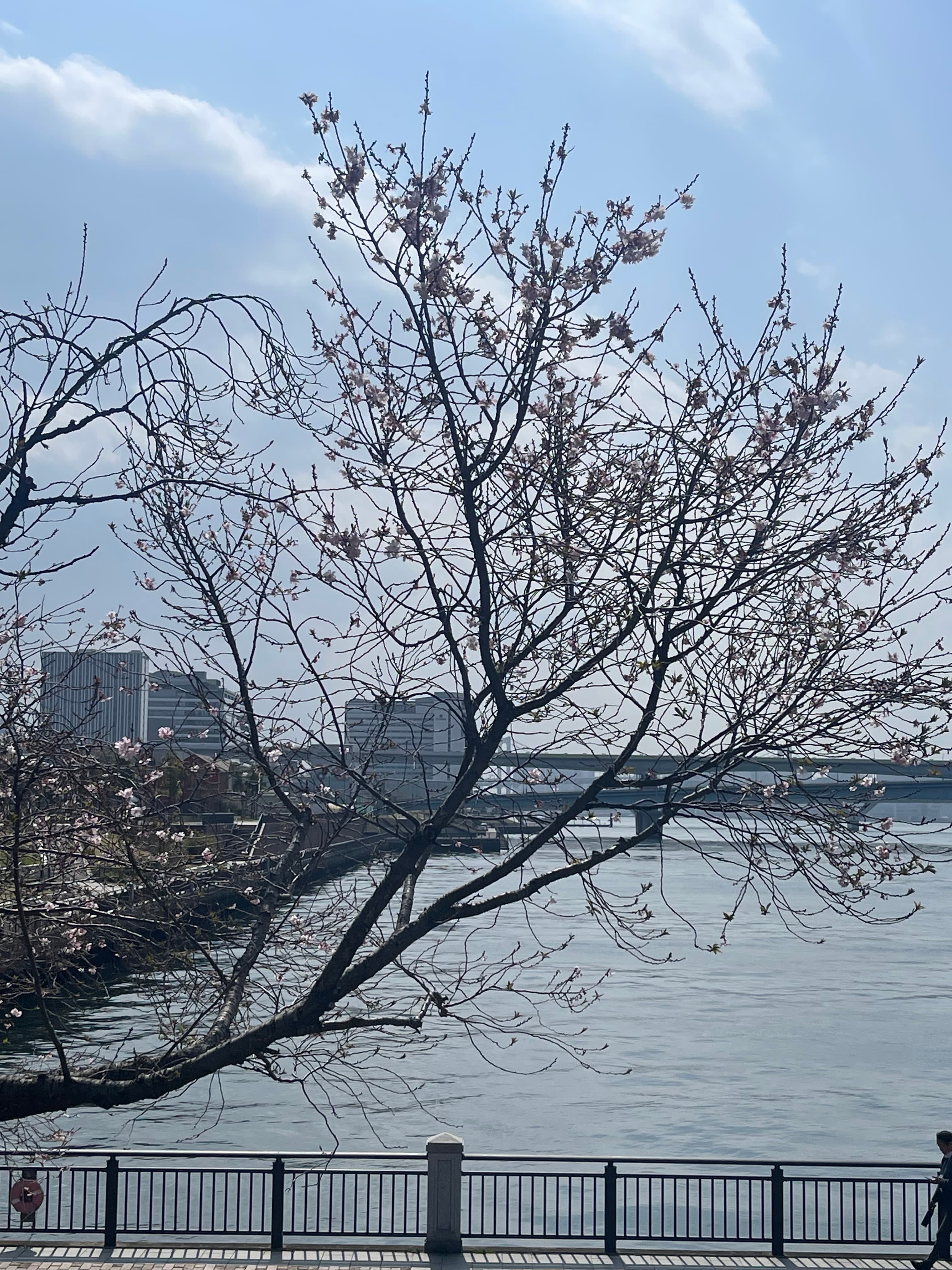 Travel photo 7