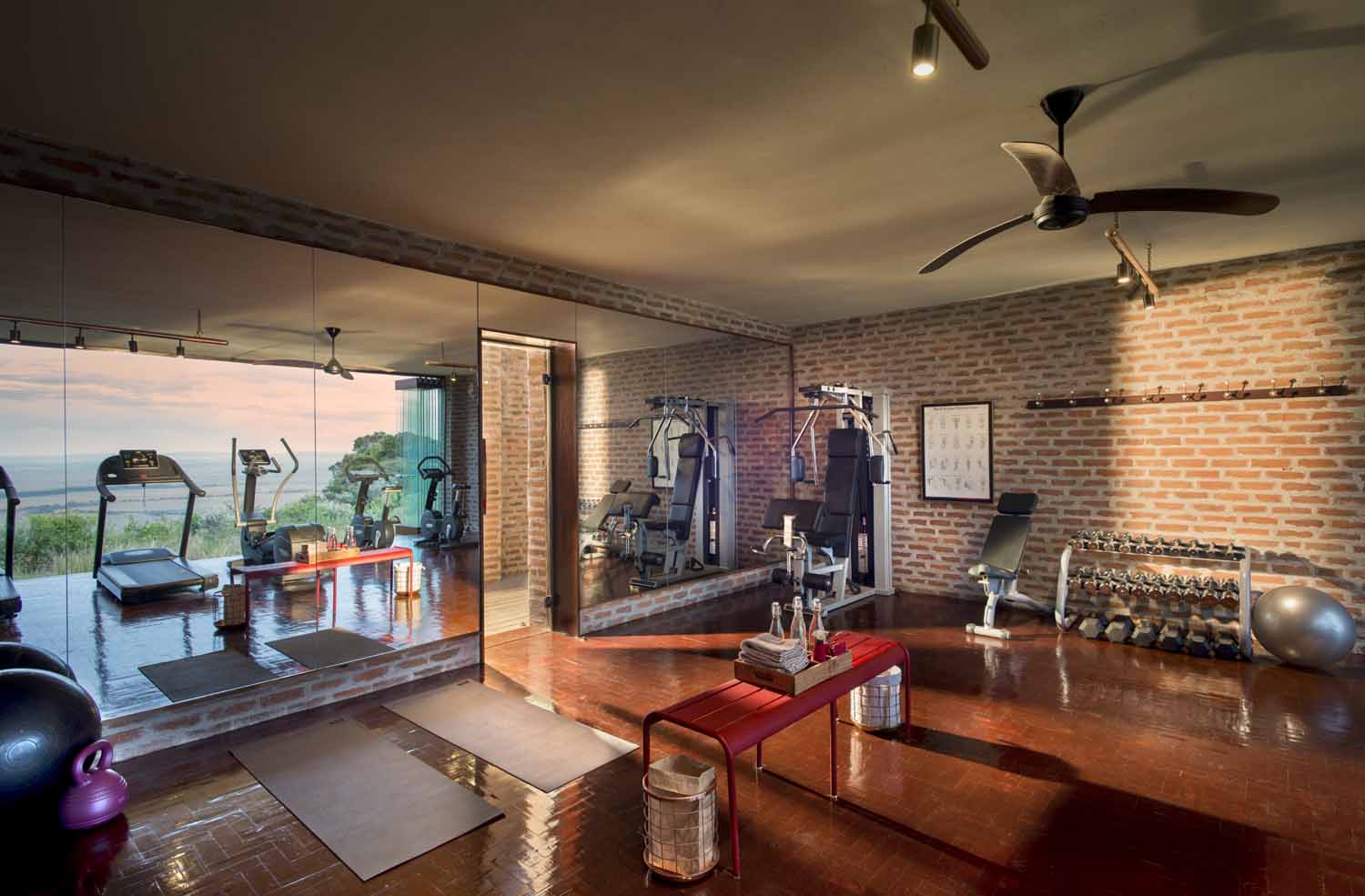 a gym overlooking the African savannah