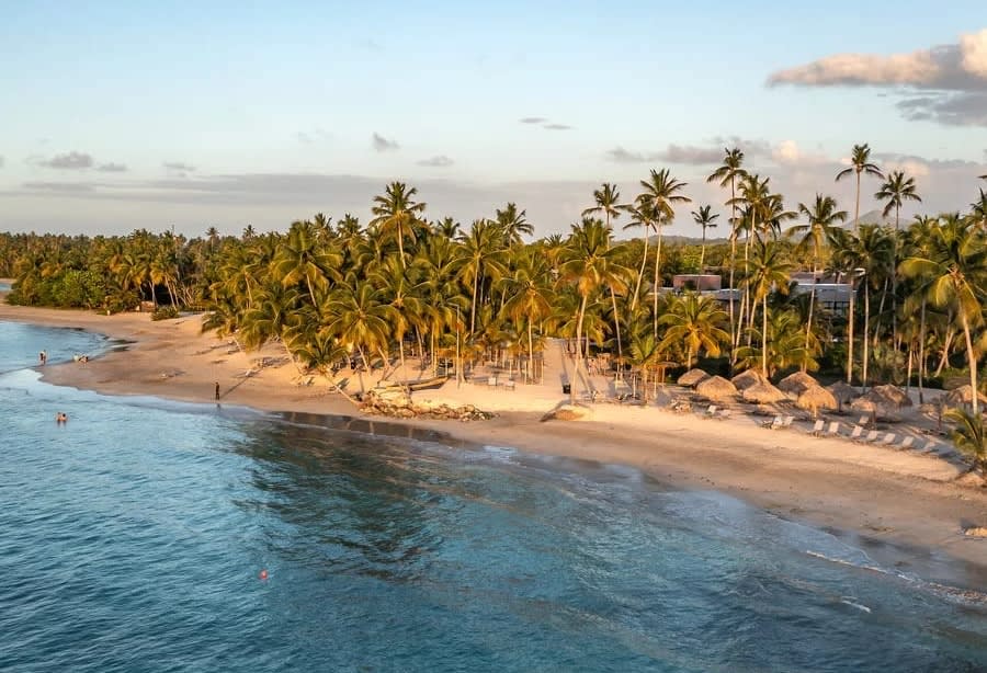 A beachfront resort covered with palm trees, ratan beach umbrellas and tranquil ocean in the foreground