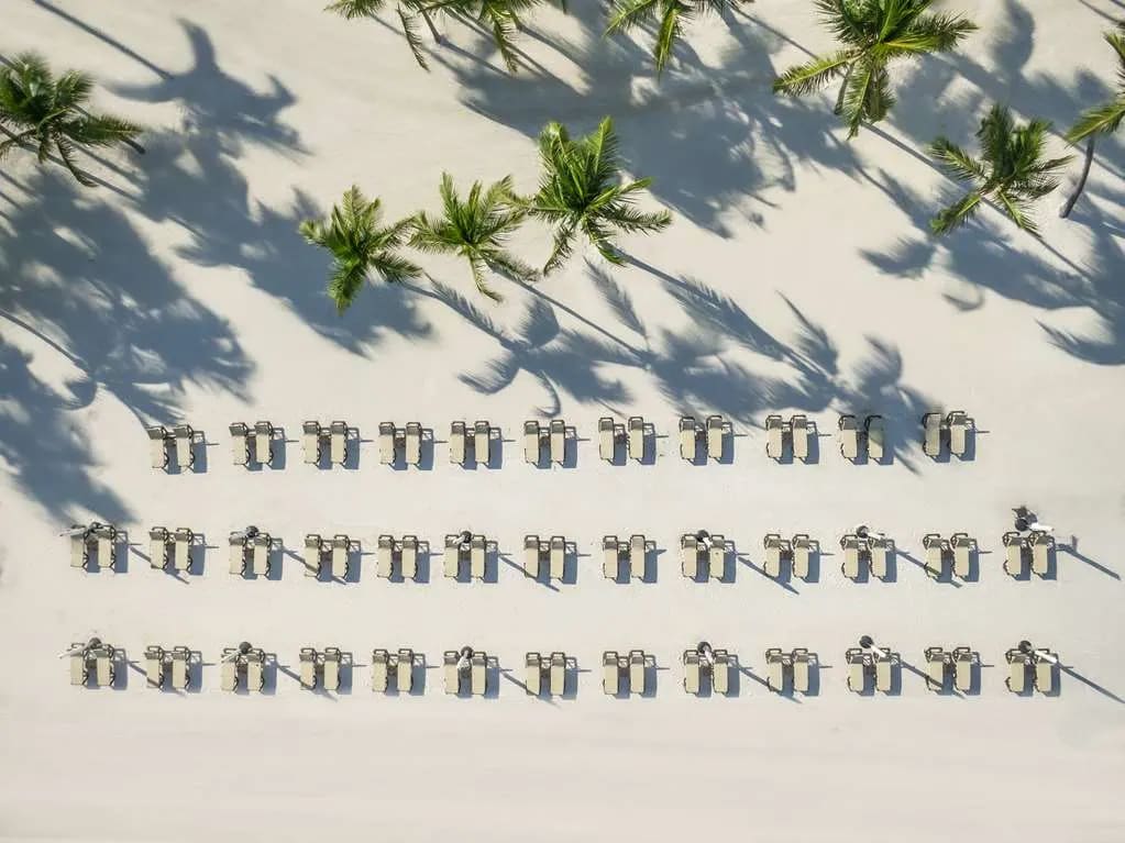 An aerial shot looking straight down at a sandy beach dotted with palm trees and lined with beach lounge chairs