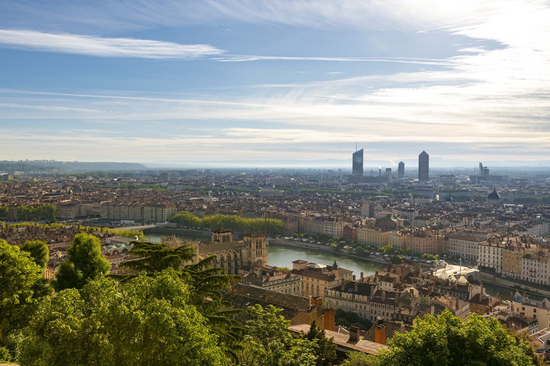 A landscape view from a hill looking down on a city with trees in the foreground and a river cutting through the city in daytime