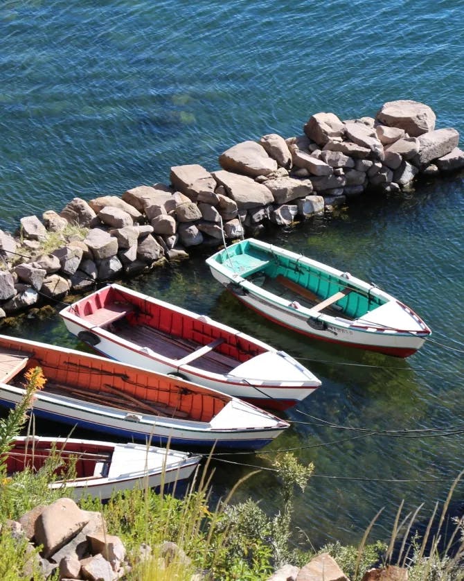Four boats anchored in a harbor around rocks, blue water, wild grass and flowers.