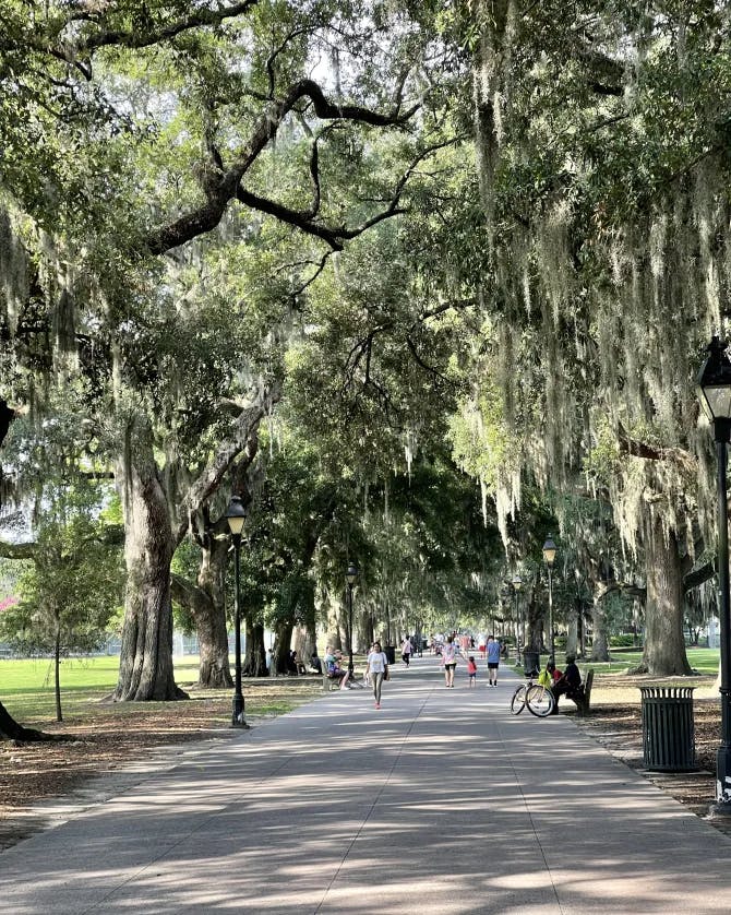 Picture of Forsyth Park