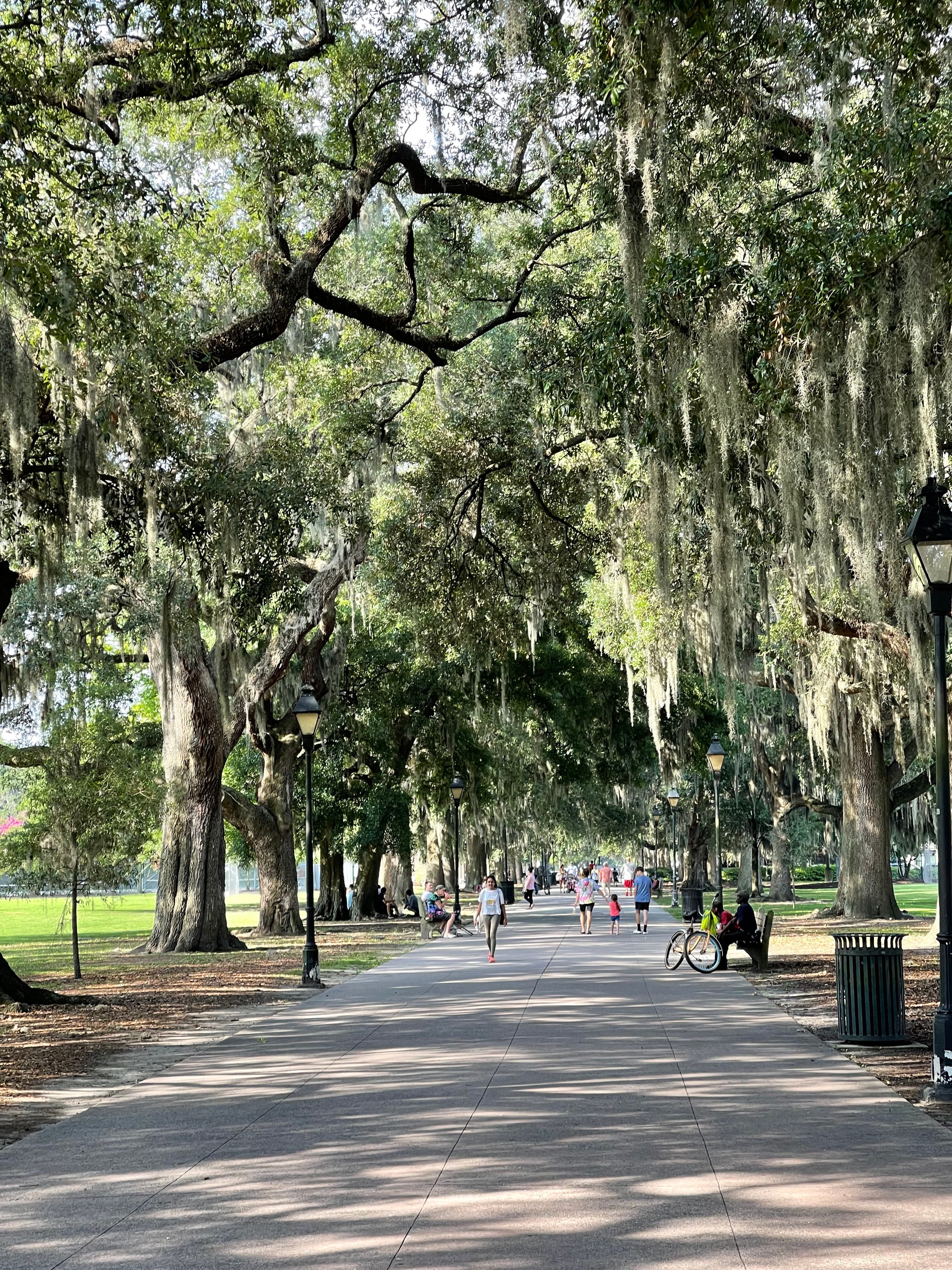 Picture of Forsyth Park
