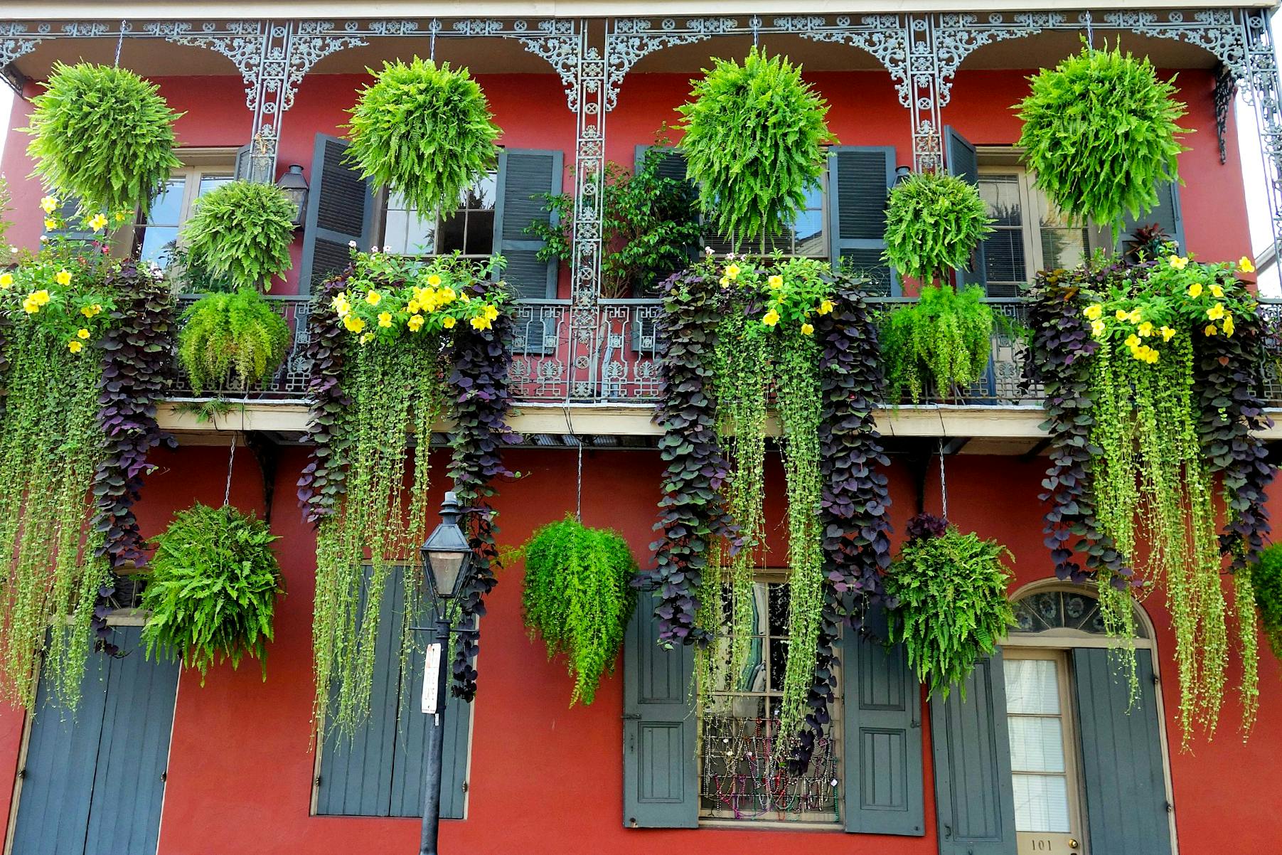Old red building with balconies decorated with hanging plants in the French Quarter in New Orleans.