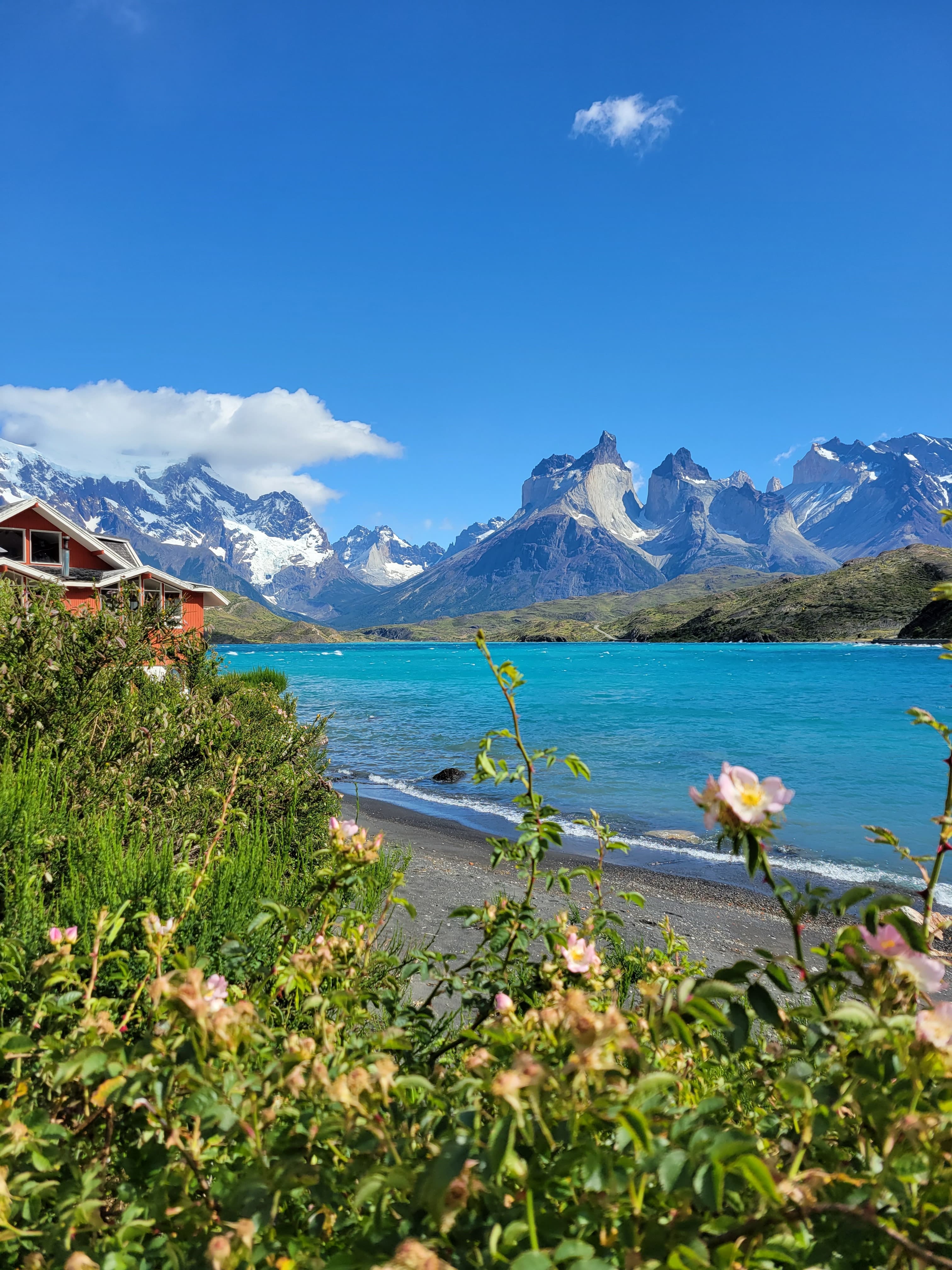 Green fields along the beach