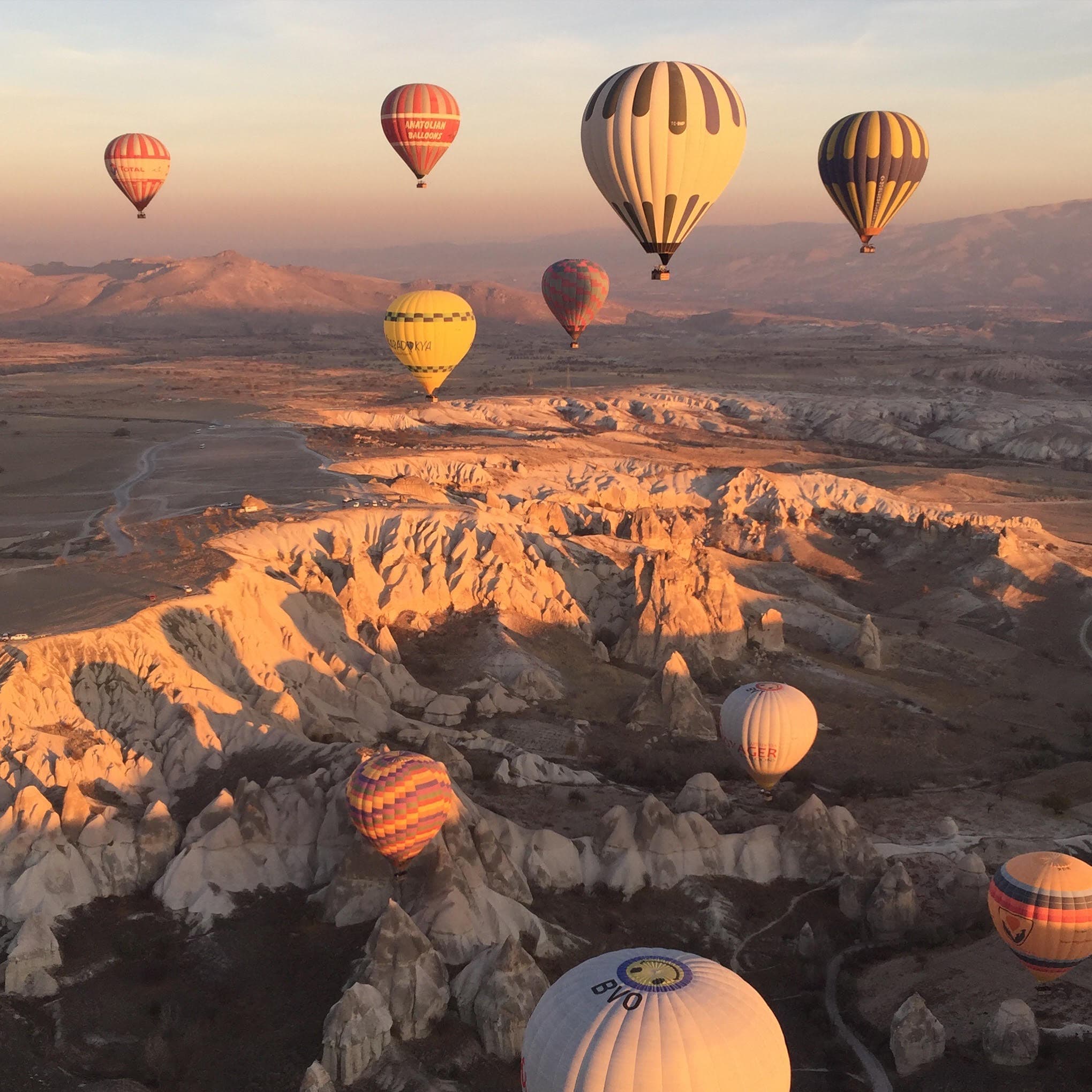 A view of nine hot air balloons floating above a desert-like canyon.