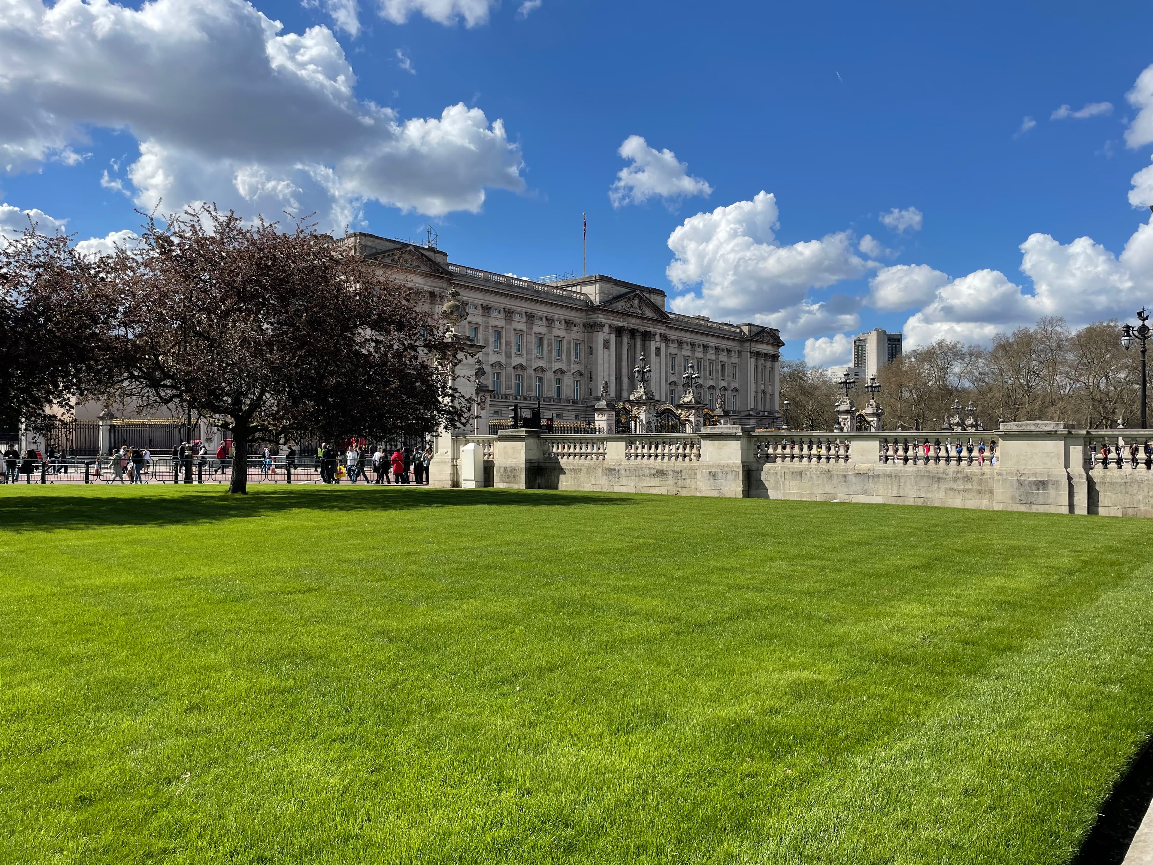 Building and a green grass
