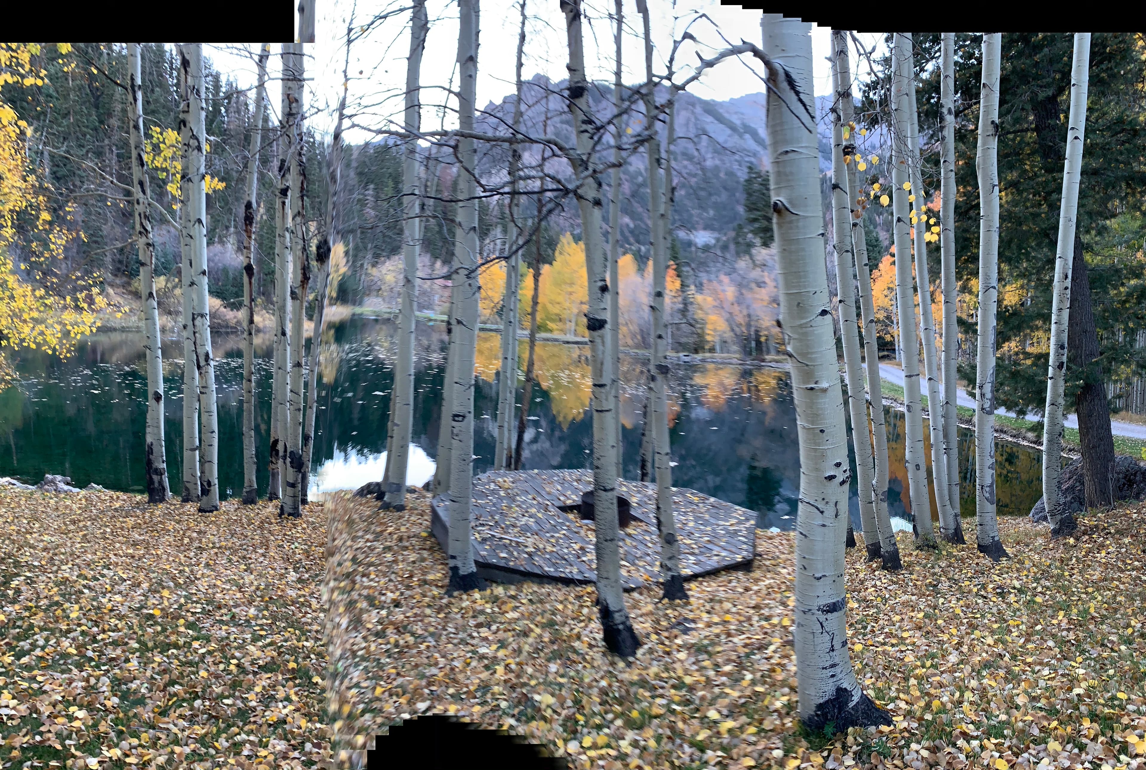 A view of a lake and mountains surrounded by a birchwood forest on an Autumn day.