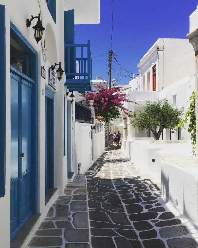A stone pathway in Greece surrounded by white buildings with blue doors and trees with pink flowers