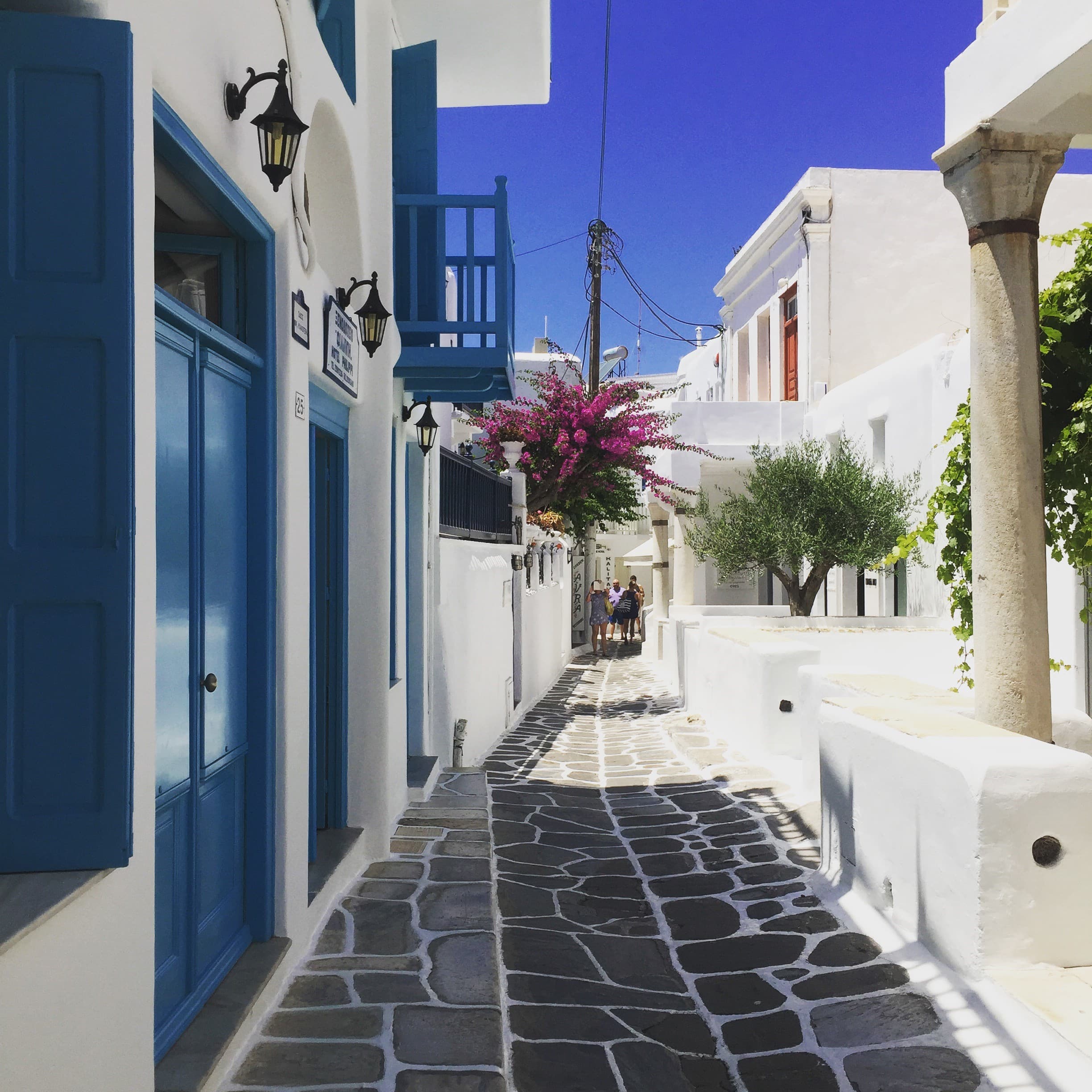 A stone pathway in Greece surrounded by white buildings with blue doors and trees with pink flowers