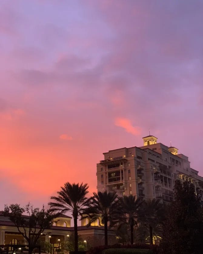 Picture of a pink and purple sunset over the Four Seasons Resort Orlando at Walt Disney World Resort surrounded by palm trees