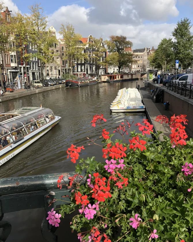Riven in Amsterdam 