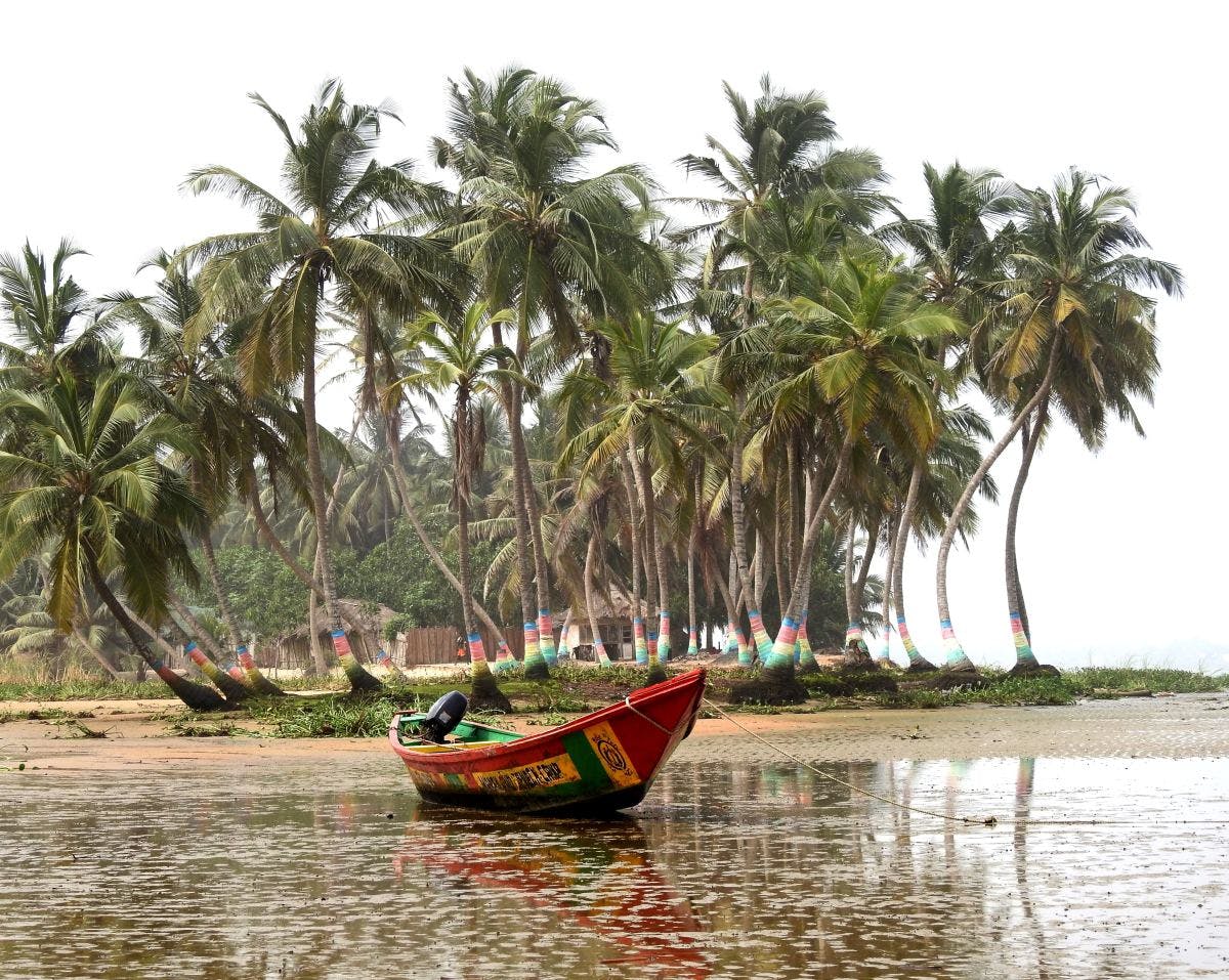 A boat, painted red, green and yellow, on the water in front of palm trees.
