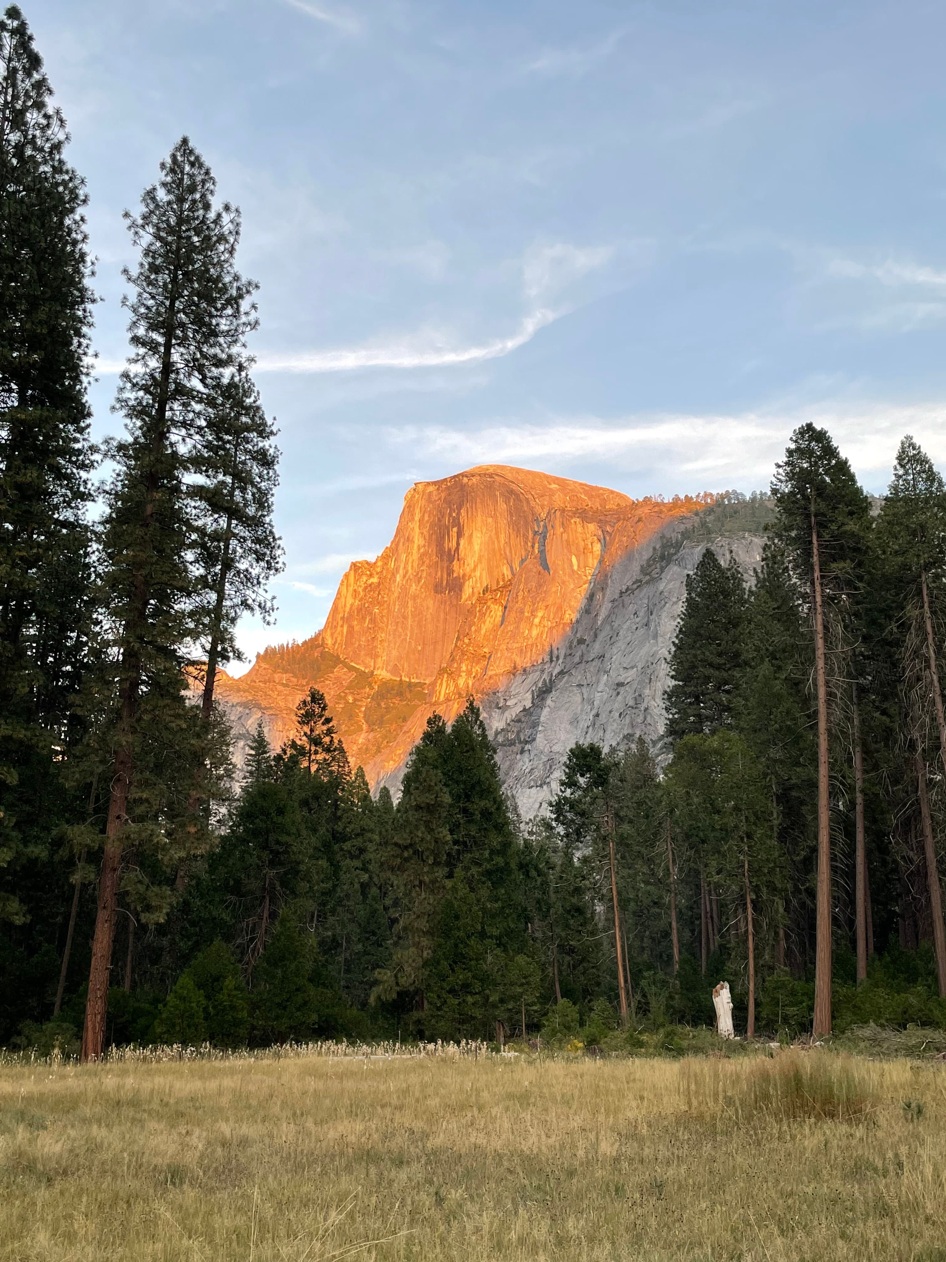 Picture of beautiful mountain and trees