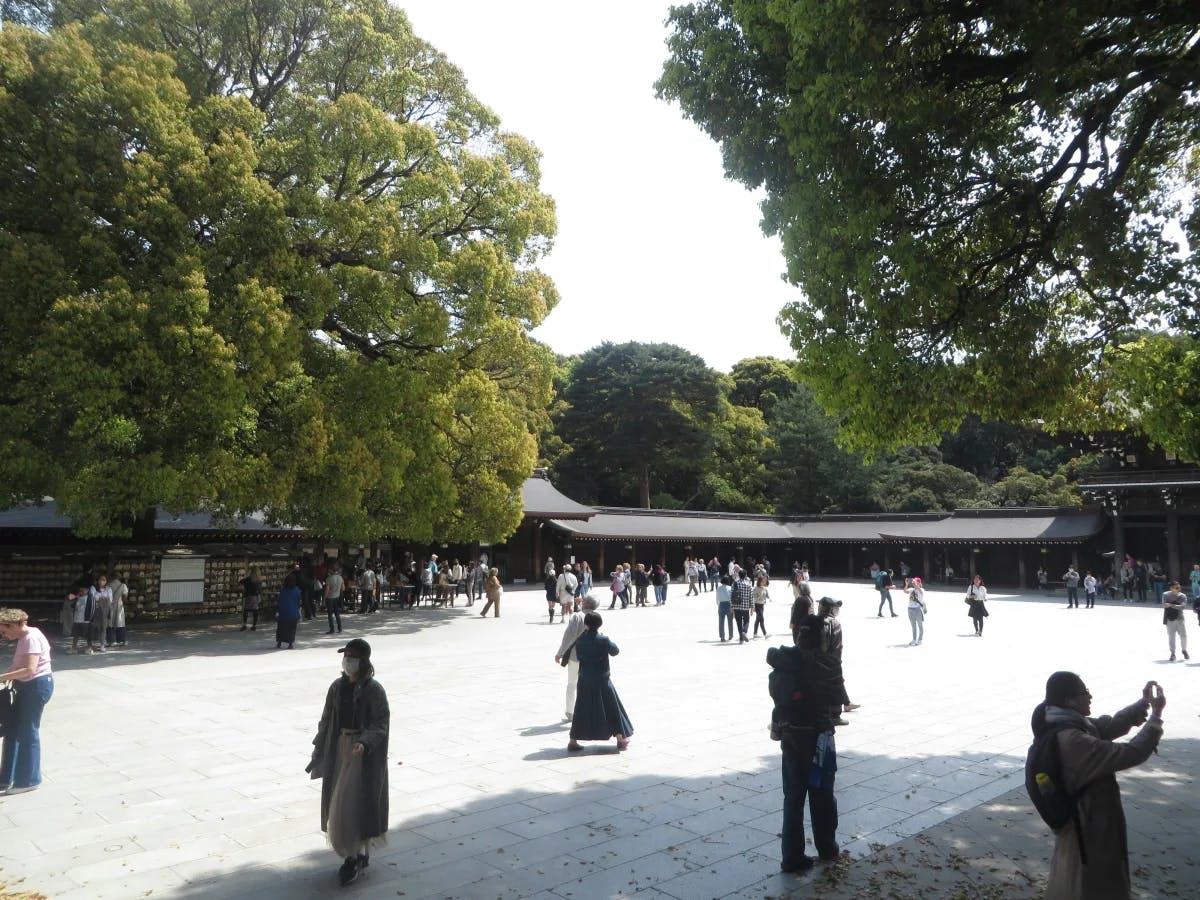 A picture of people walking on a ground surrounded by trees taking photos.