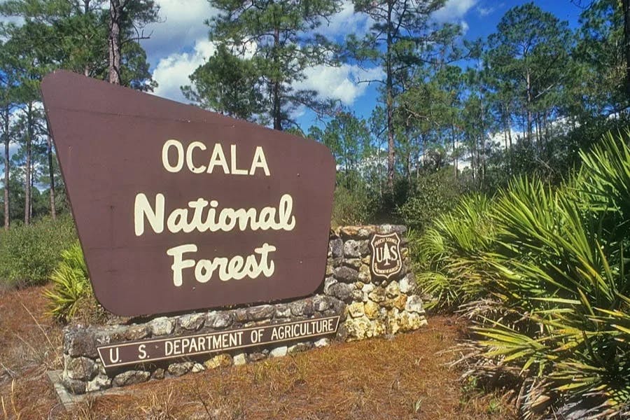 A sign reading "Ocala National Forest" during the daytime