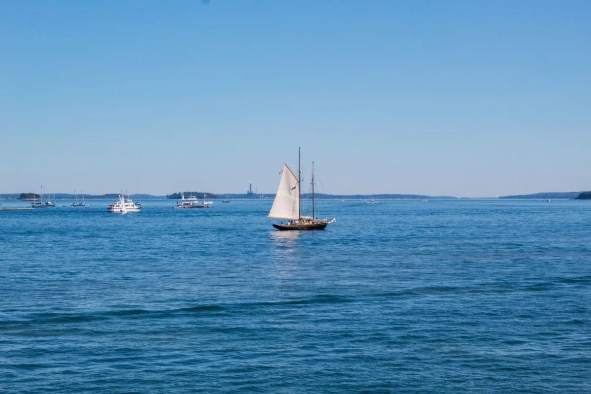 A variety of boats leisurely sailing along the coast of Portland Maine, with Peaks Island faintly visible in the background (photo by Peregrine Photography)