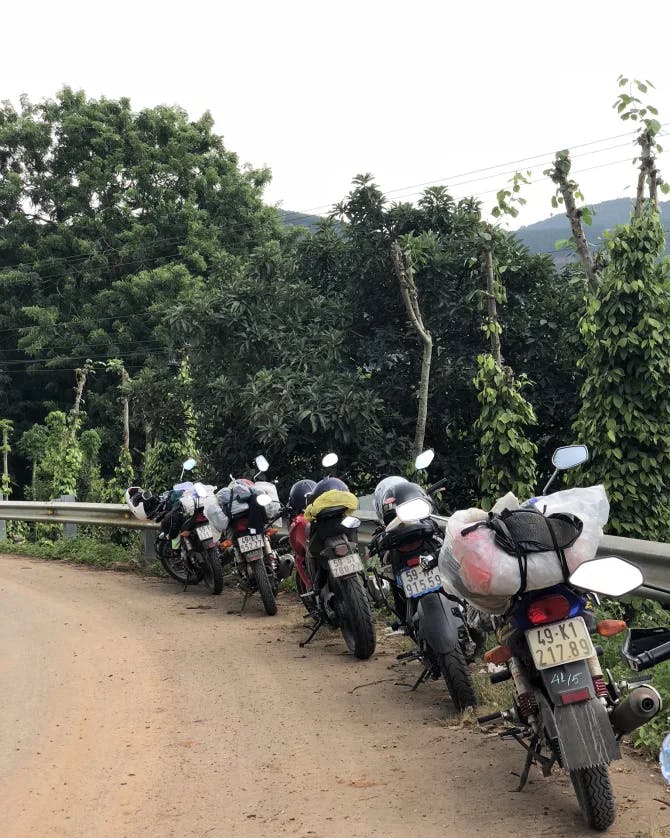 Five motorcycles parked on the side of a dirt road surrounded by trees
