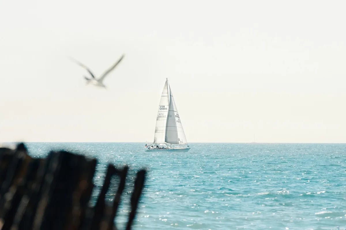 A wooden pallet obscures a small portion of the frame. Beyond: a sailboat cruises off the coast of Oahu in calm, blue waters while a seagull flies by