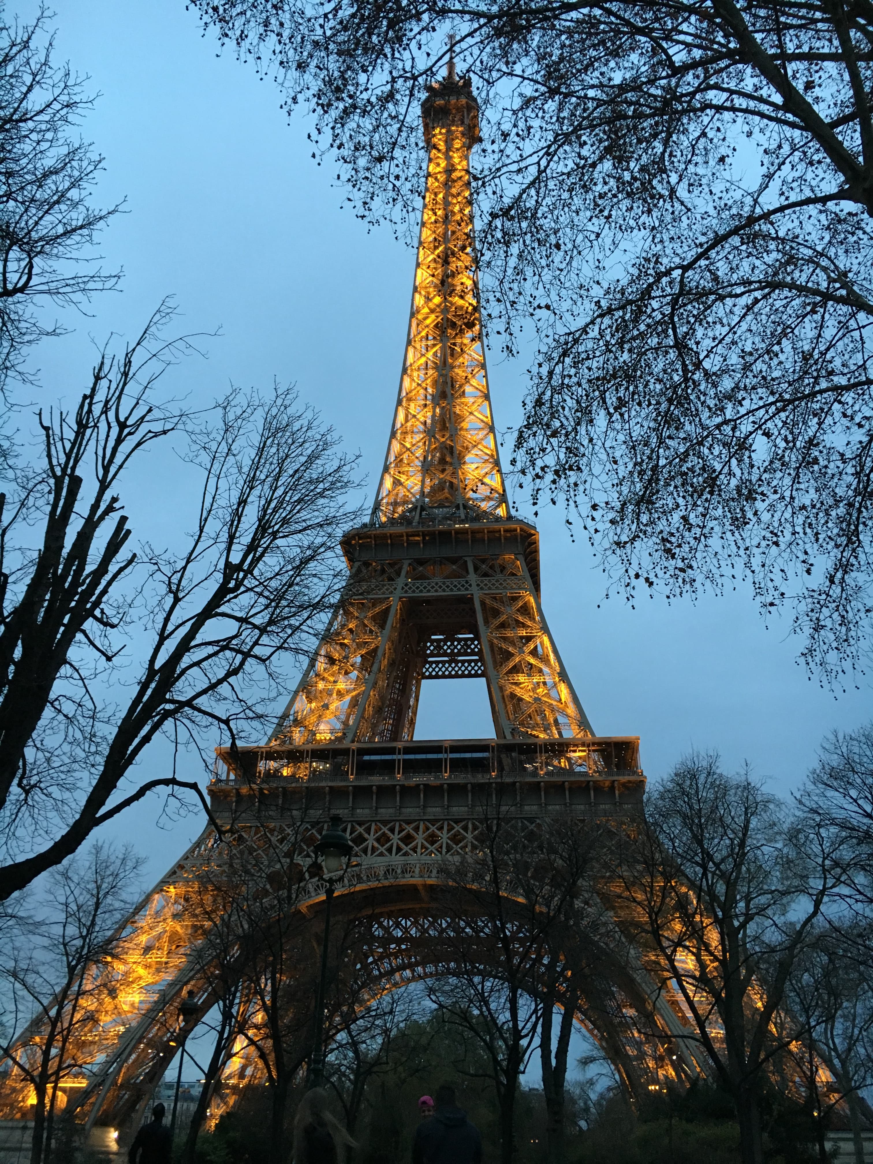View of the Eiffel Tower