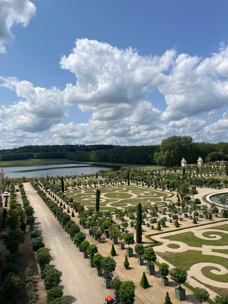 View of a beautiful garden