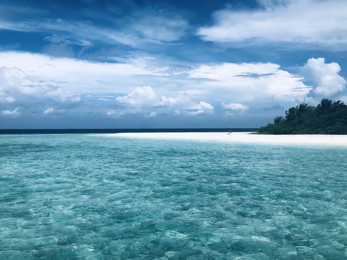 A beautiful image of the crystal clear water of the Maldives, with a white sand beach and hub of trees in the distance under a cloudy blue sky. 