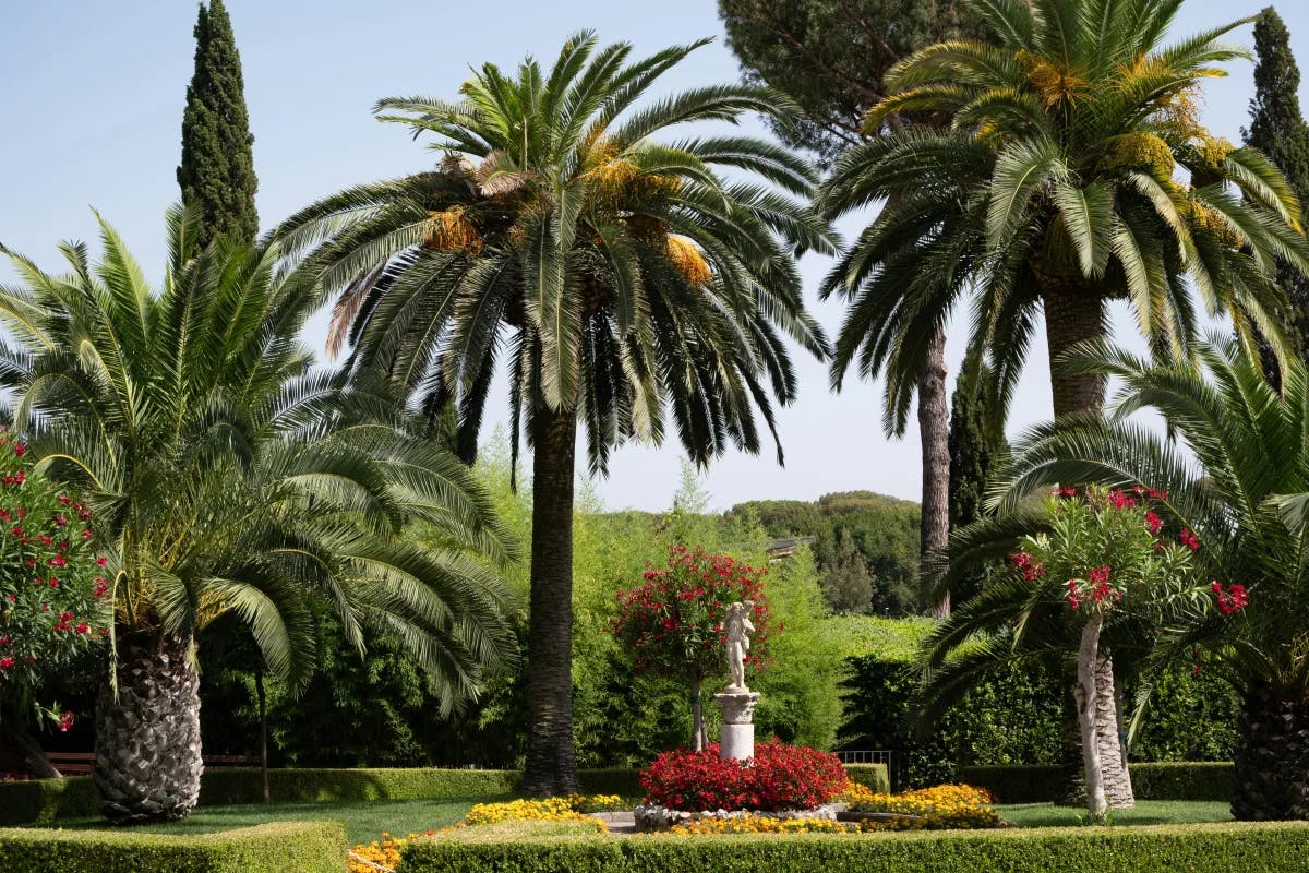A garden with palm trees and a monument in the middle.