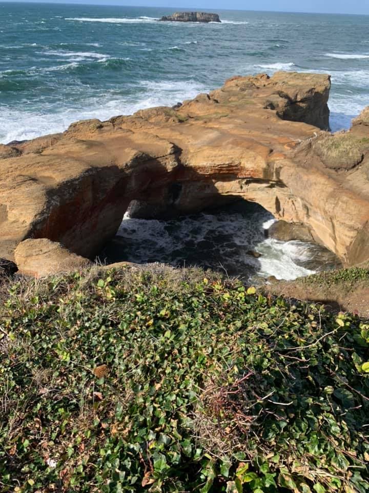 View of Devils Punchbowl State Natural Area
