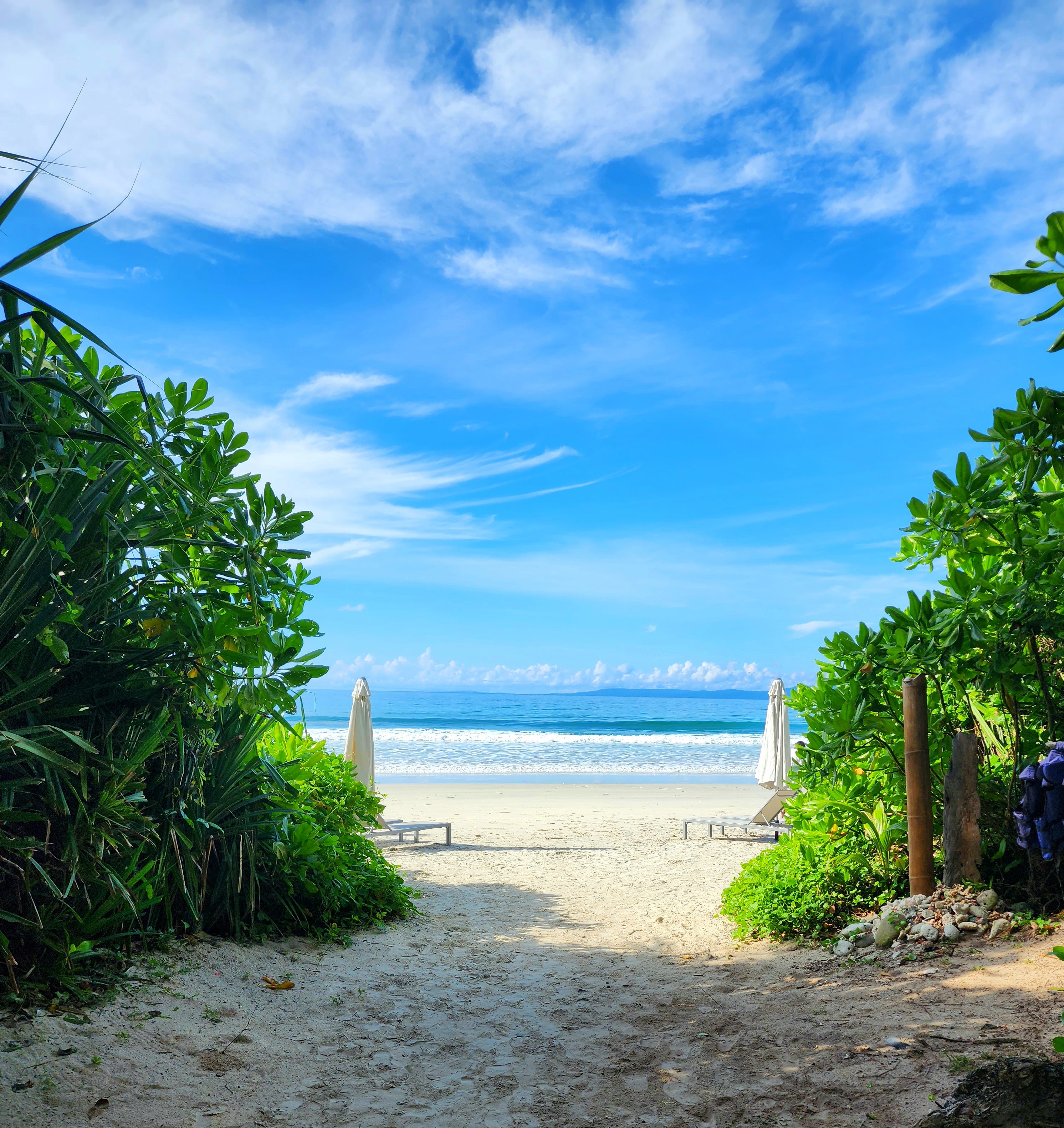 View of the path leading to the beach