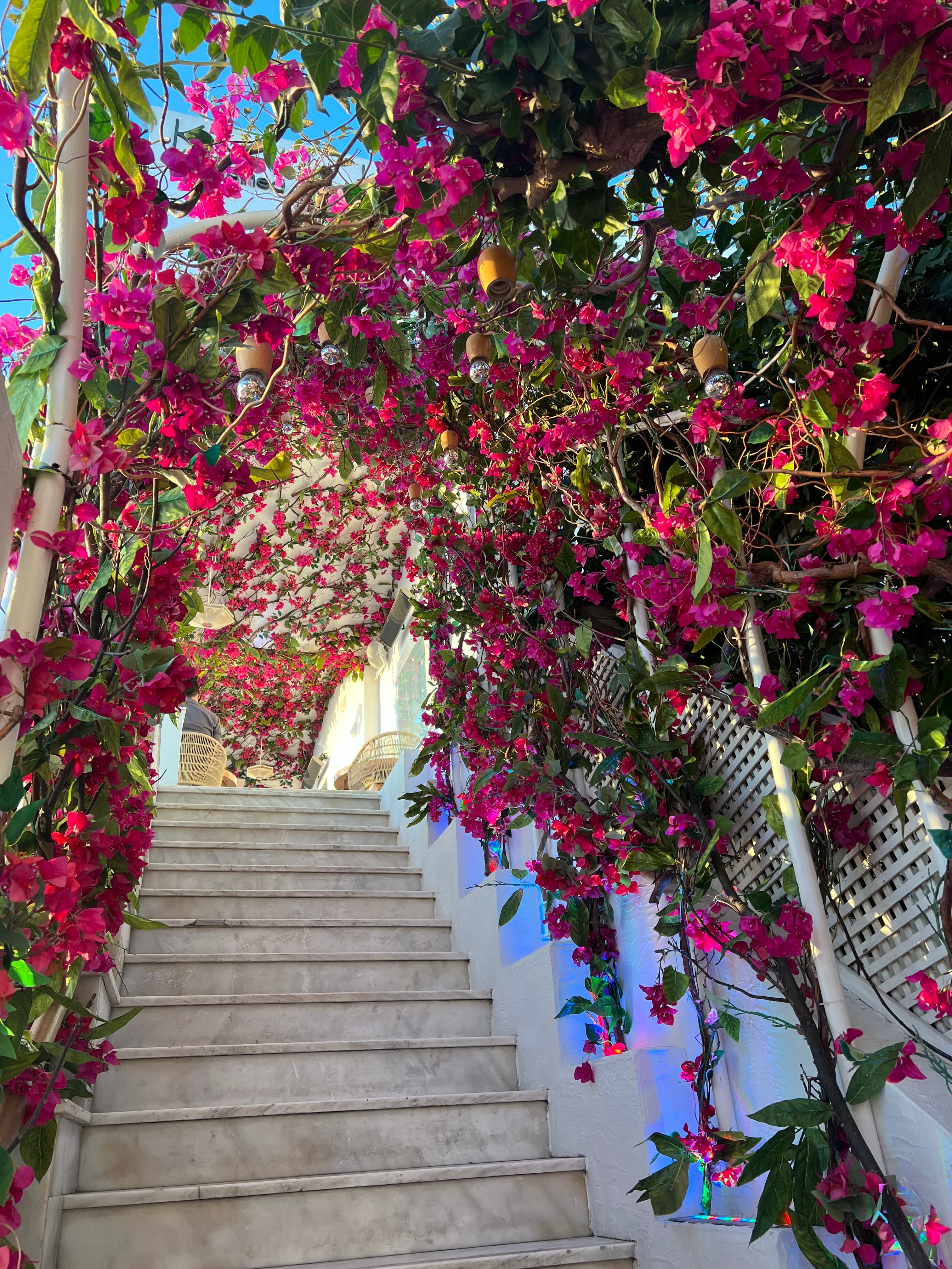View of stairs covered with flowers tree