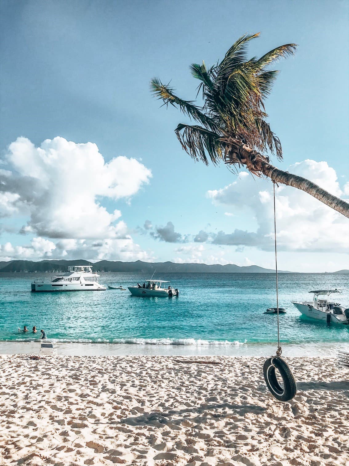 A tire swing attached to a palm tree hanging over a sandy beach with the ocean in the distance