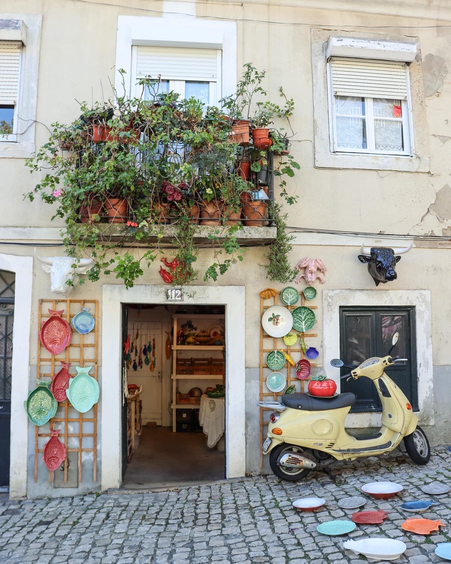 Beautiful house view