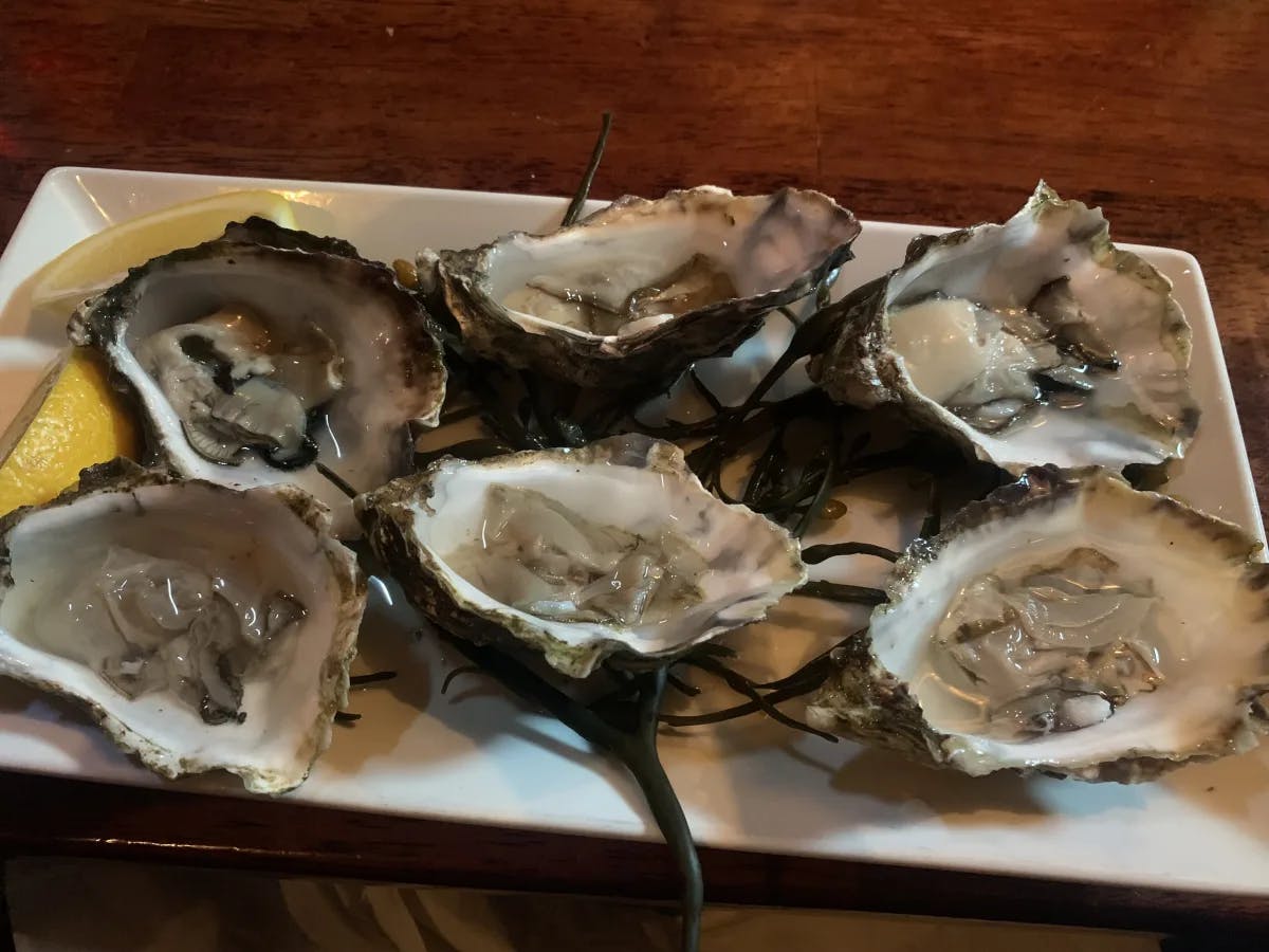oysters-served-ireland-travel-guide
