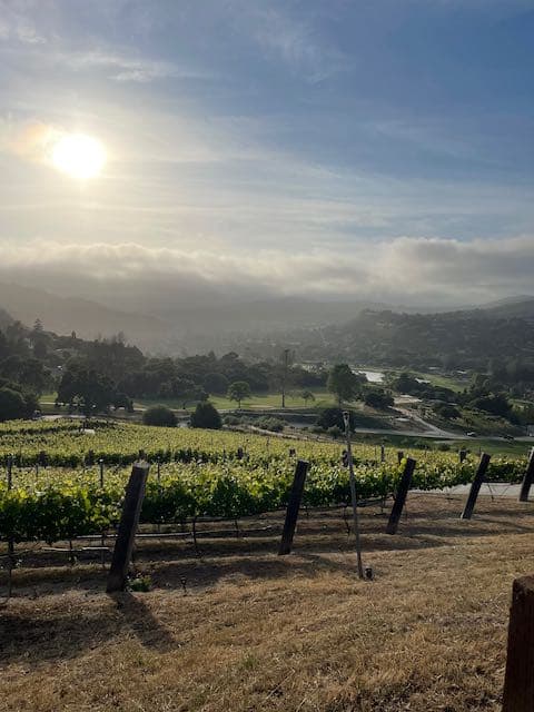 Sun shining on a green valley.