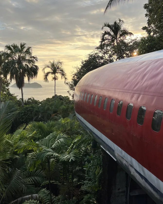 A converted airplane in the jungle with palm trees, water and a mountain in the distance