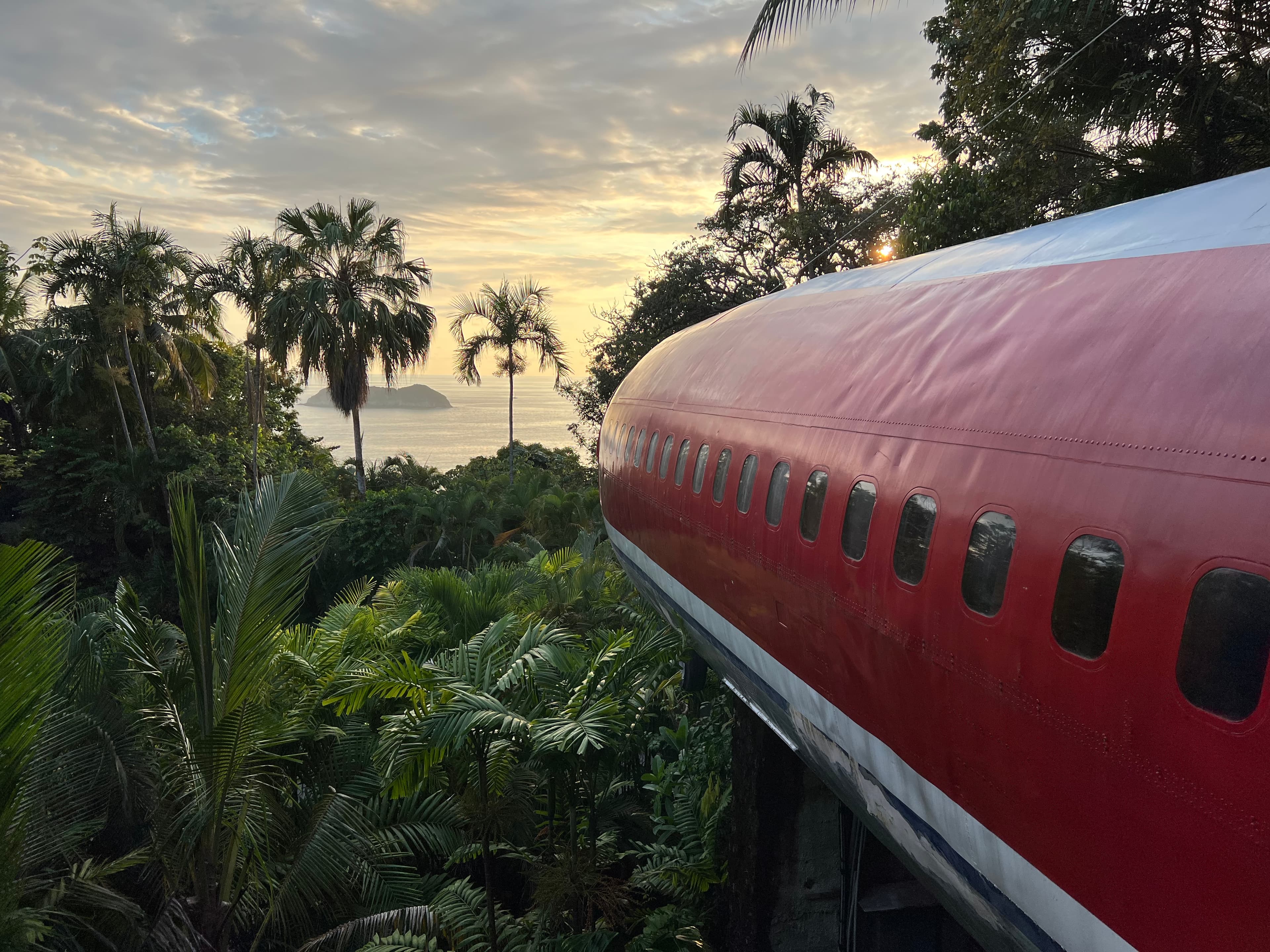 A converted airplane in the jungle with palm trees, water and a mountain in the distance