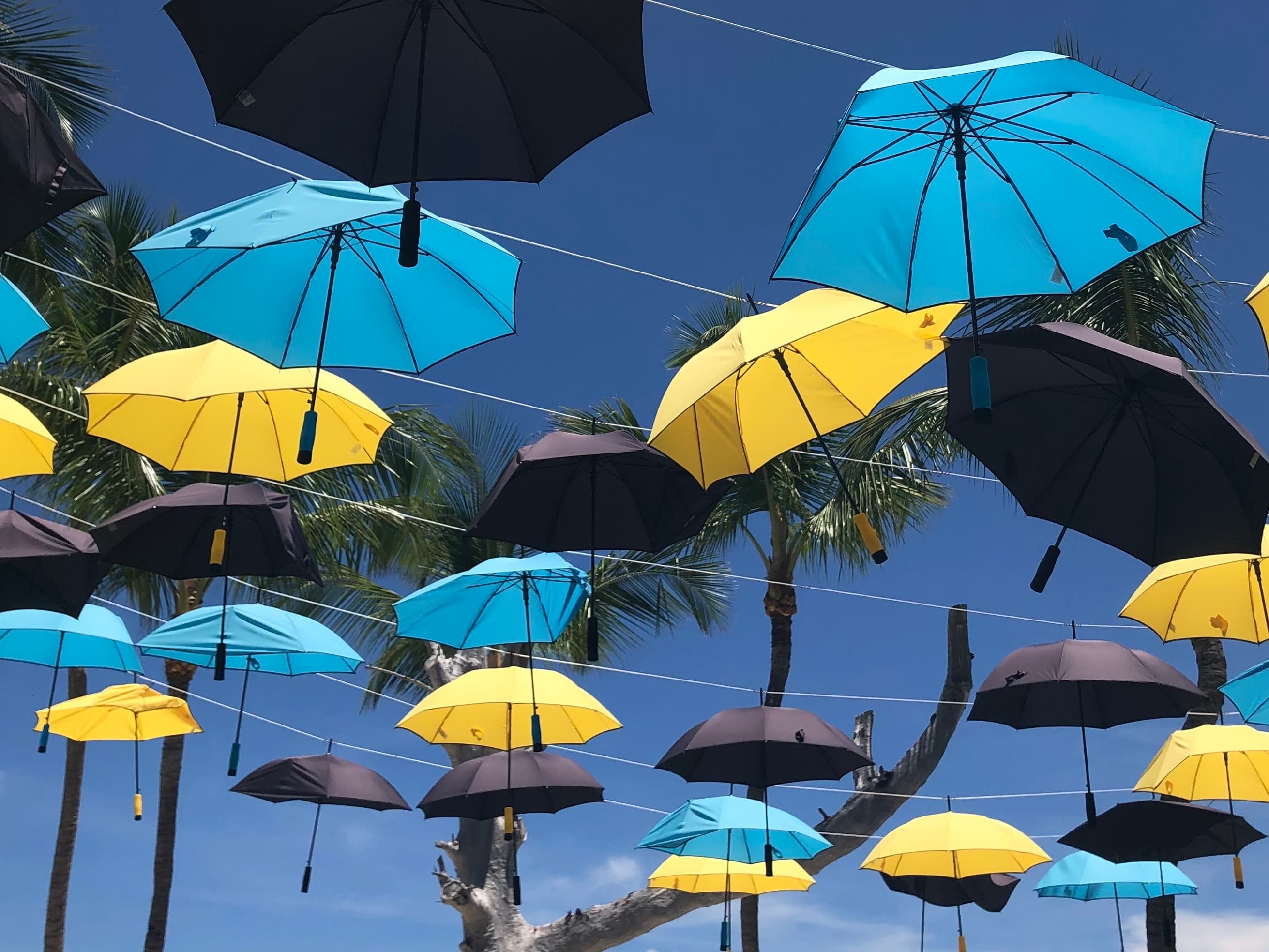 Colorful umbrella decoration