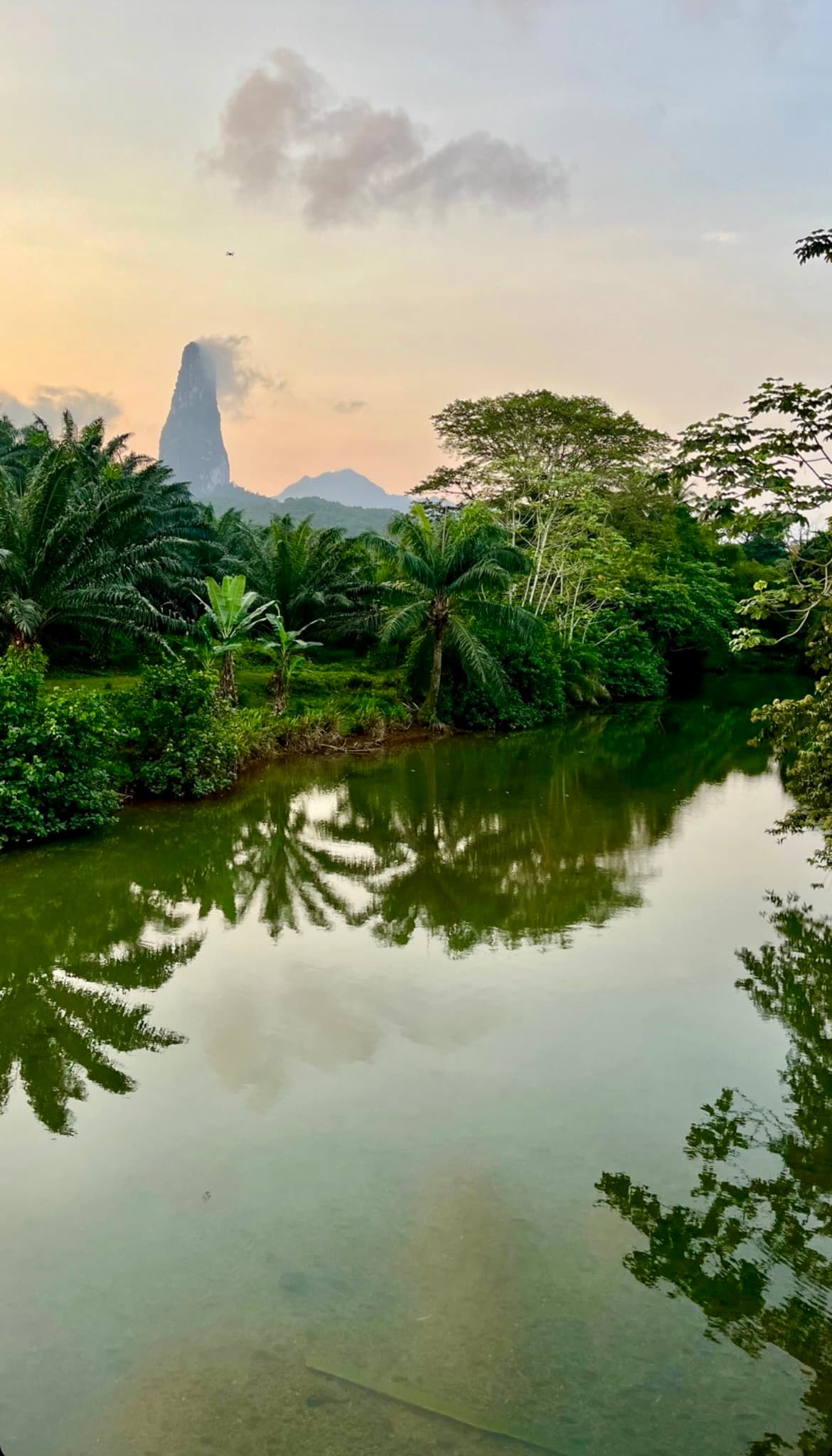 A picture of a reflective pond surrounded by lush trees with an orange sunset and volcano in the background.