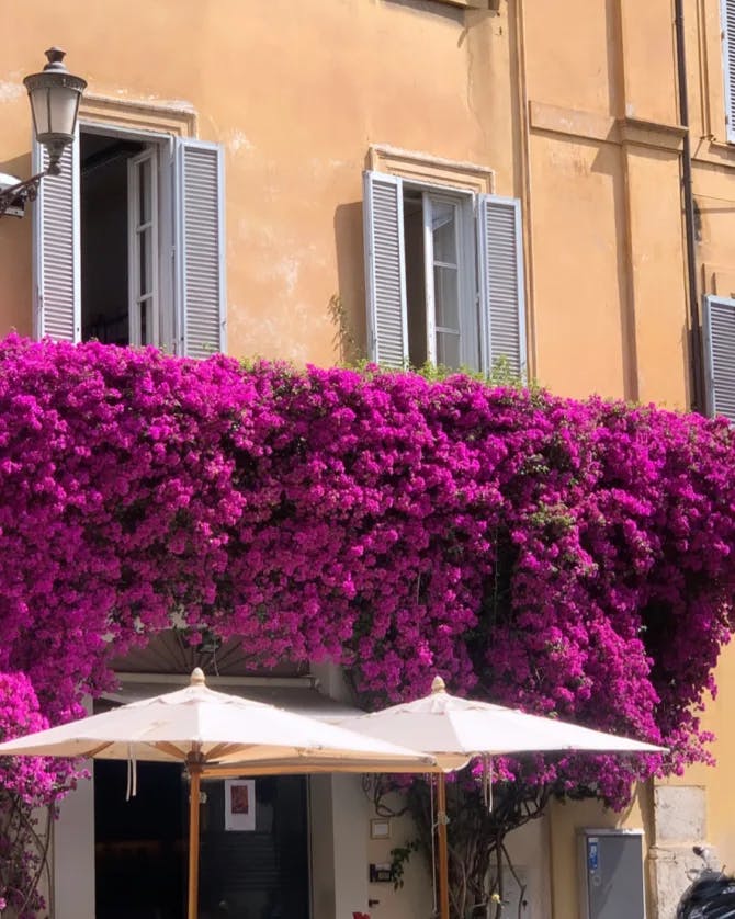 A beautiful restaurant adorned with pink flowers