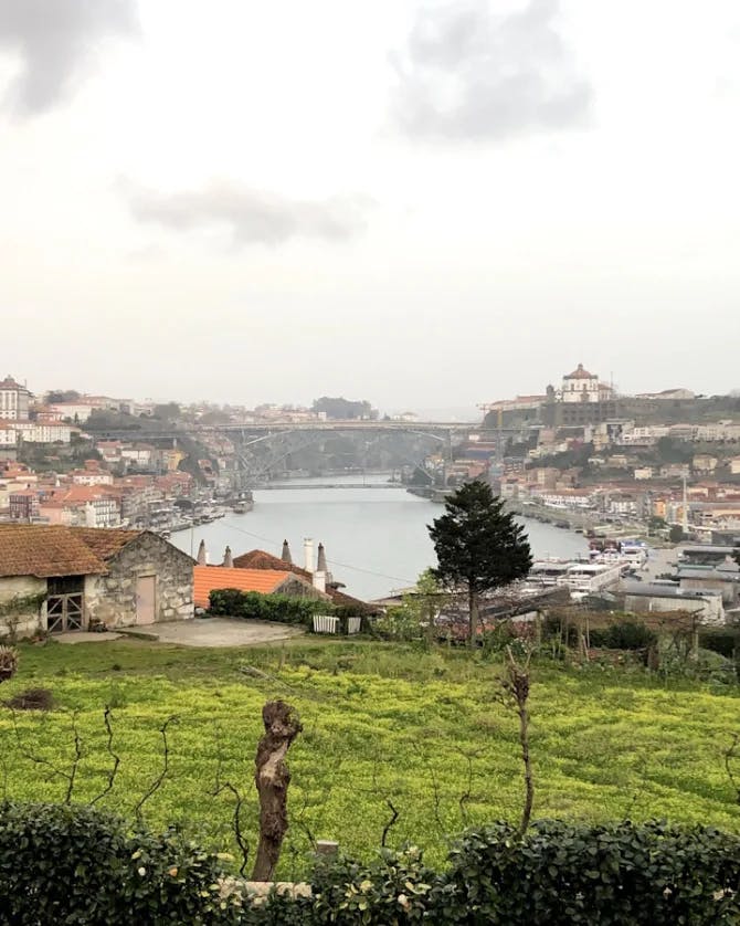 The greenery of Porto