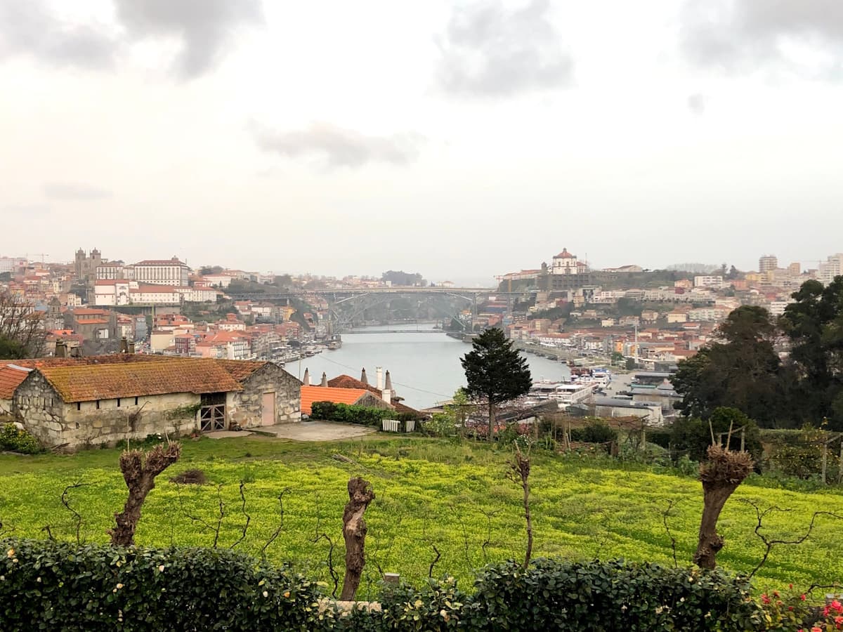 The greenery of Porto