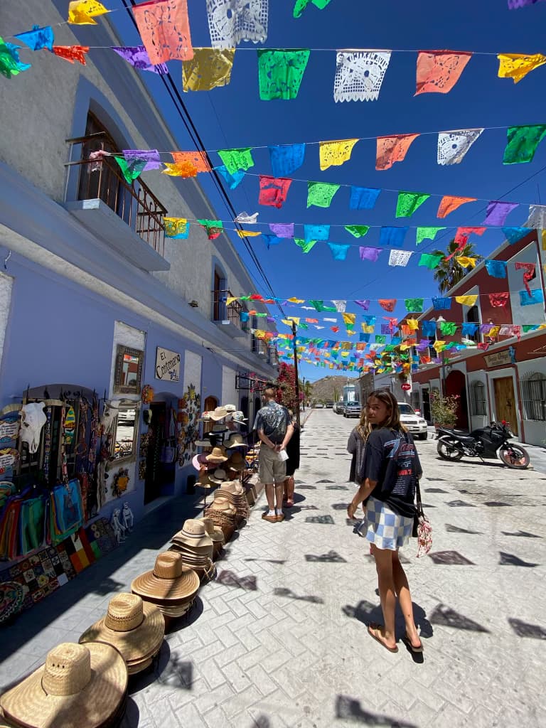 Exploring road side stalls