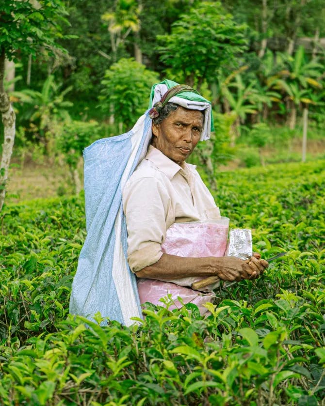 A women working in the fields