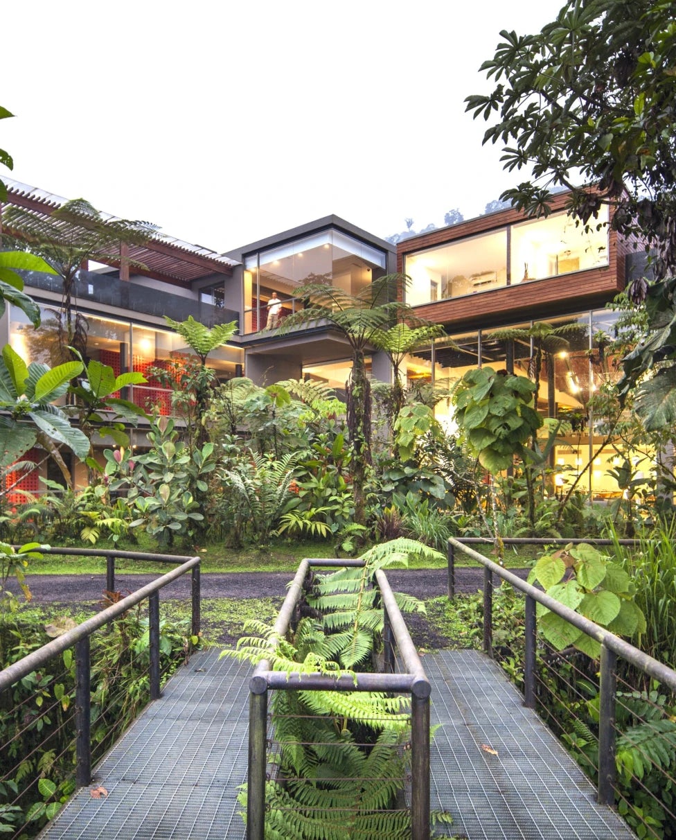 Escape To Ecuador's Premier Nature Resort: Mashpi Lodge