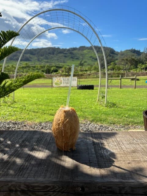 Picture of coconut water