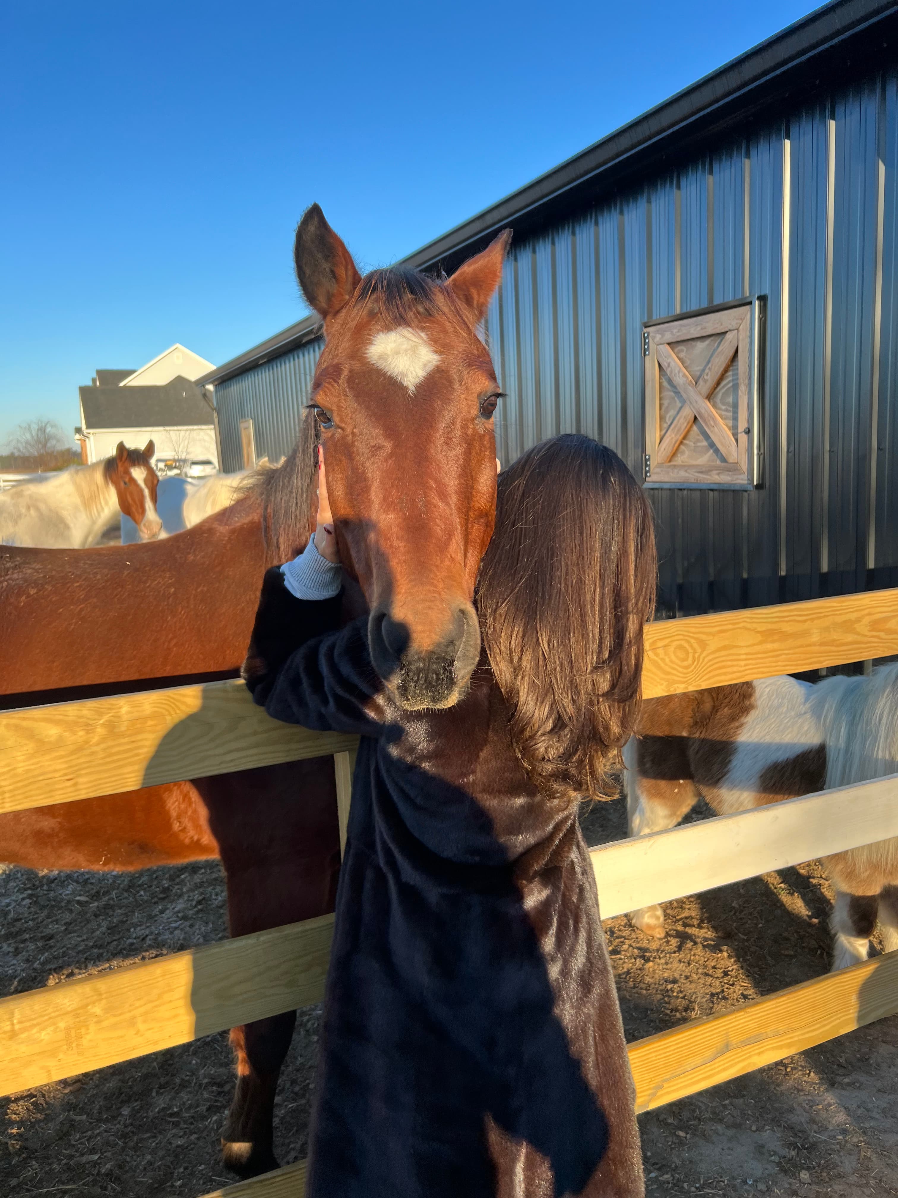Picture of Grace with horse